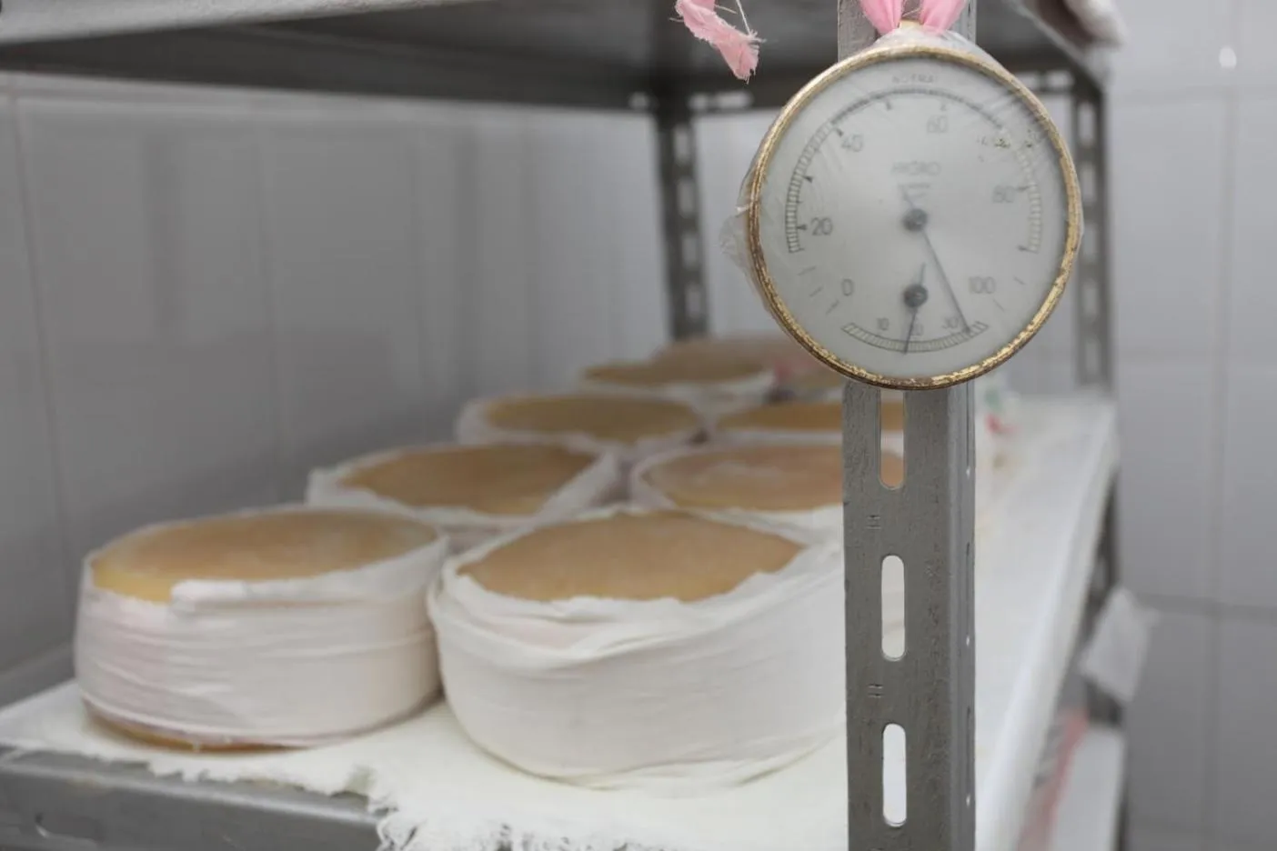 Food in INATEL Vila Ruiva