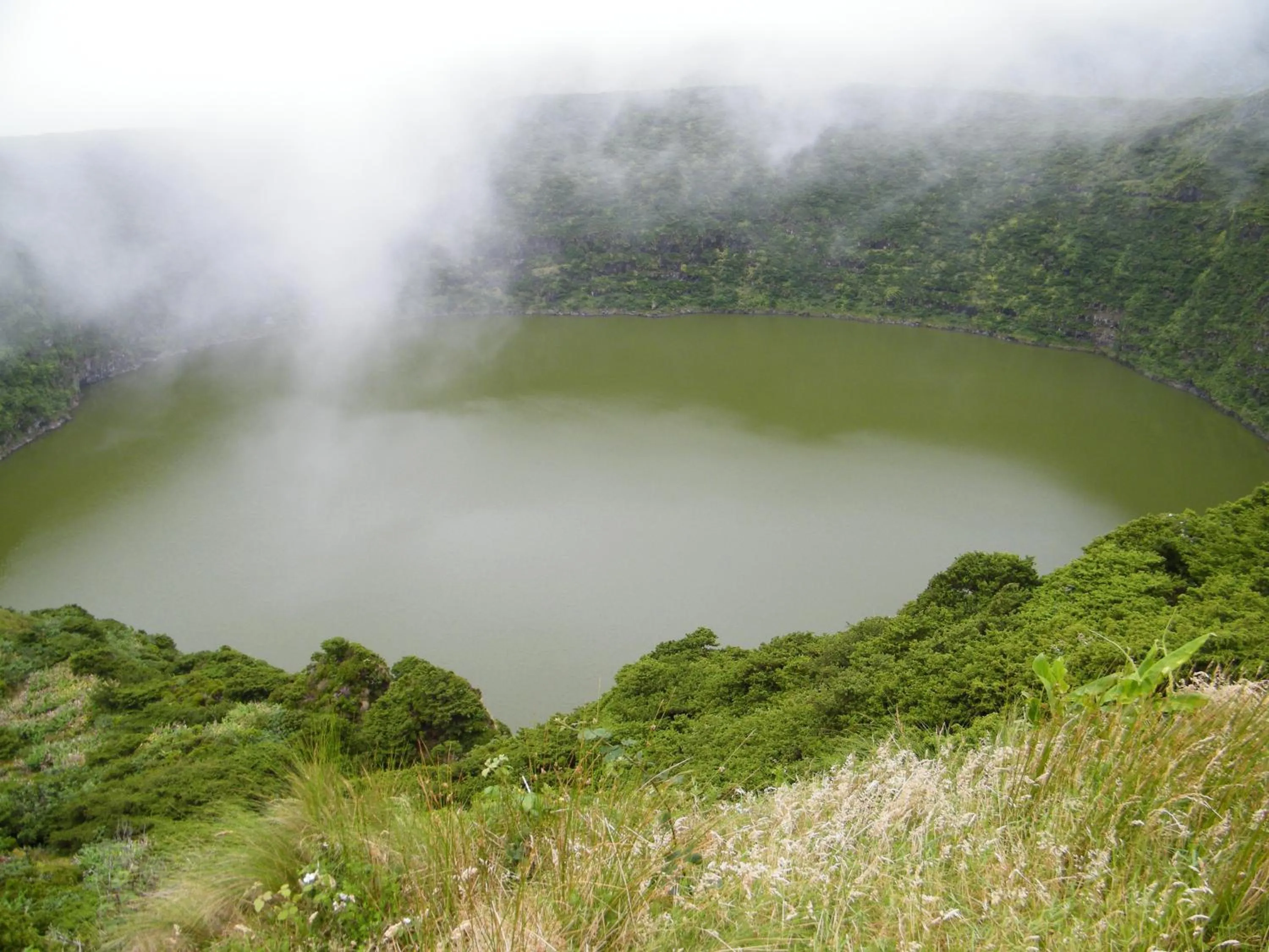 Natural landscape in INATEL Flores