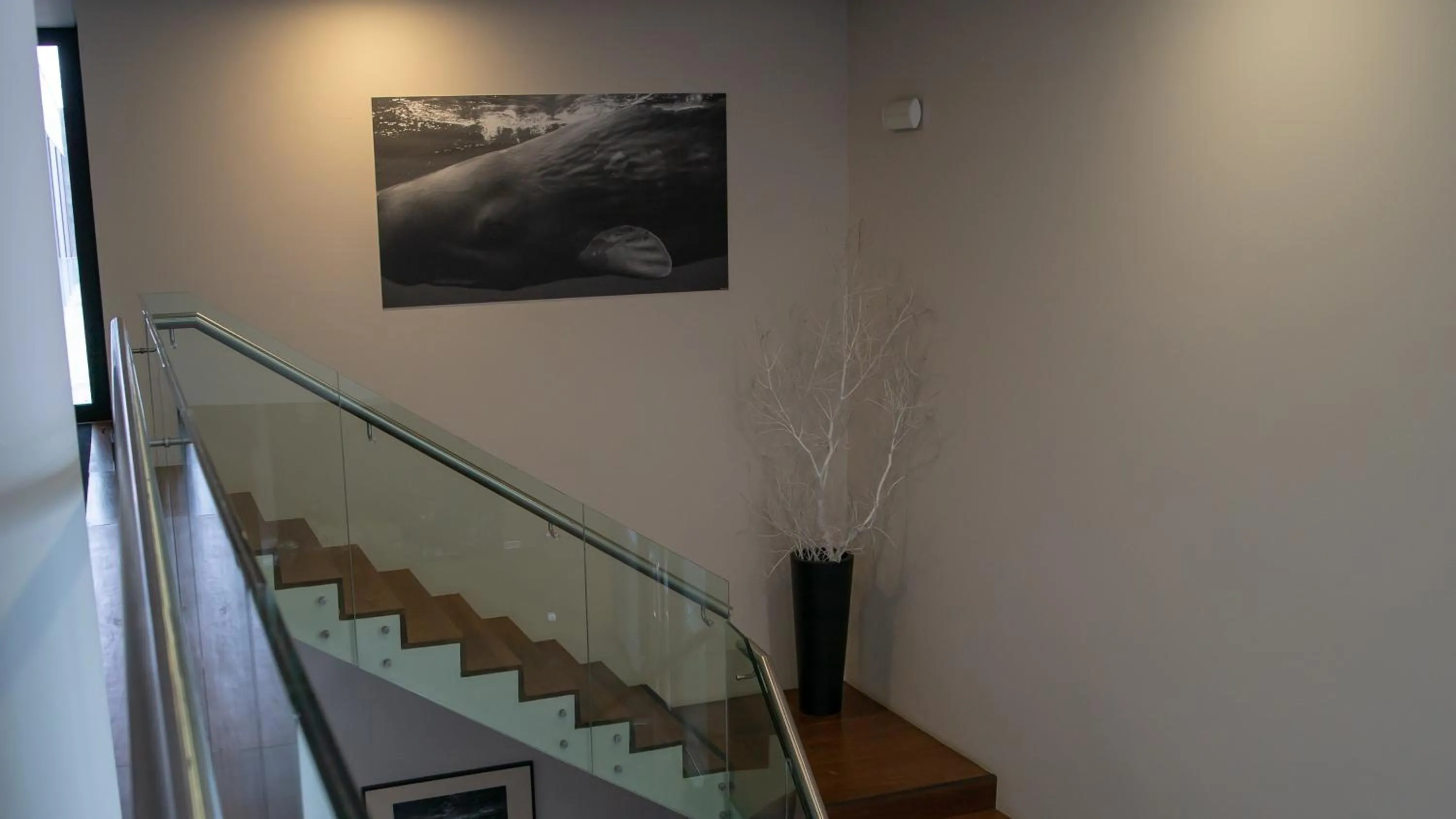 Decorative detail in INATEL Flores