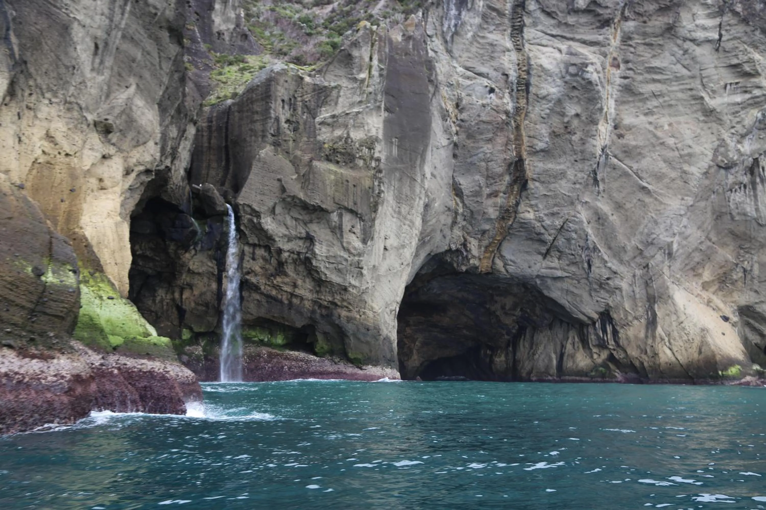 Natural landscape in INATEL Flores