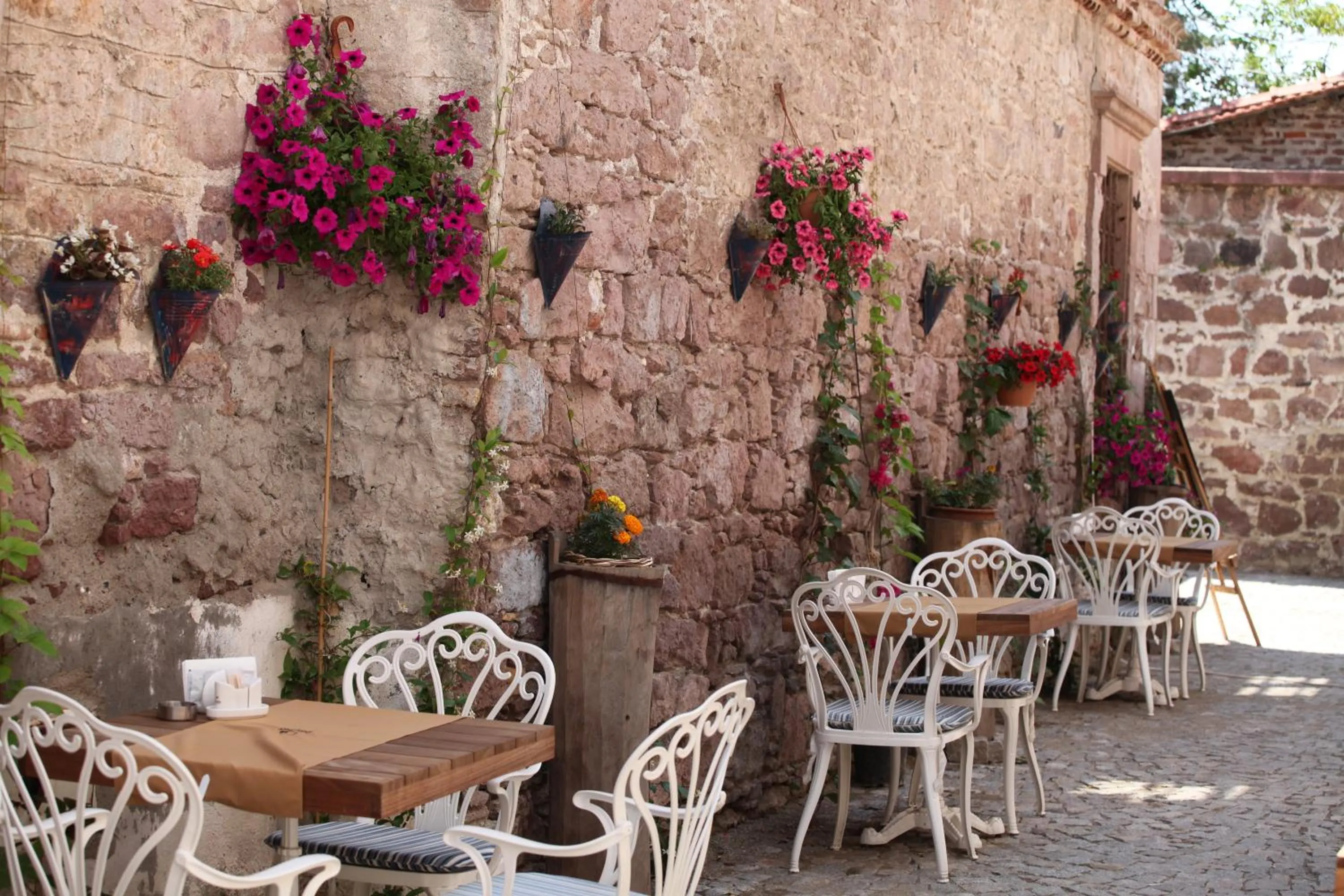Garden view in Orchis Hotel