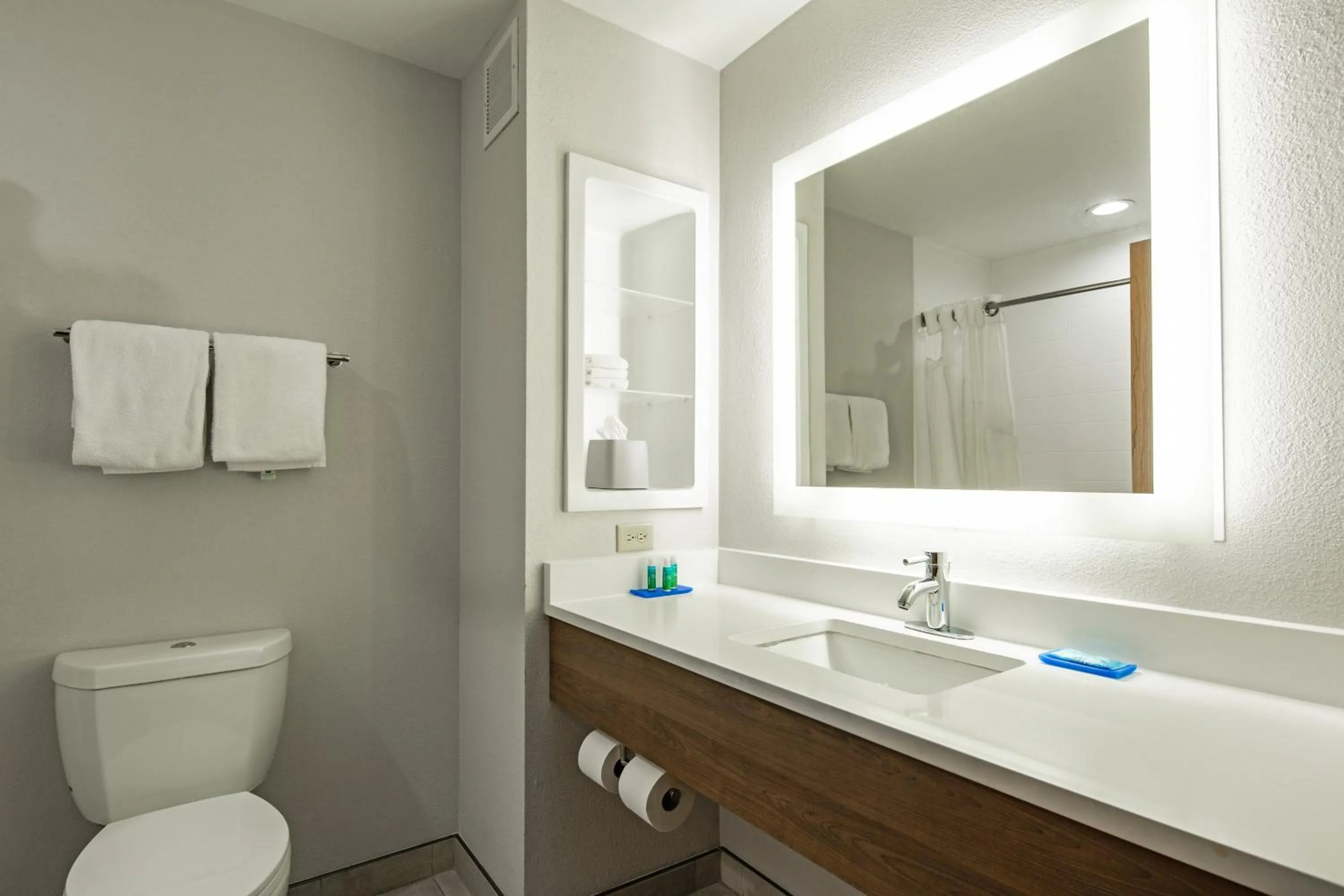Bathroom in Holiday Inn Express & Suites Chattanooga - East Ridge by IHG