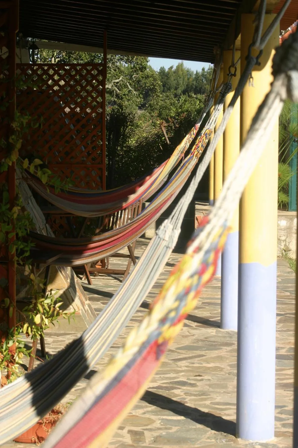 Other in Monte Das Alpenduradas