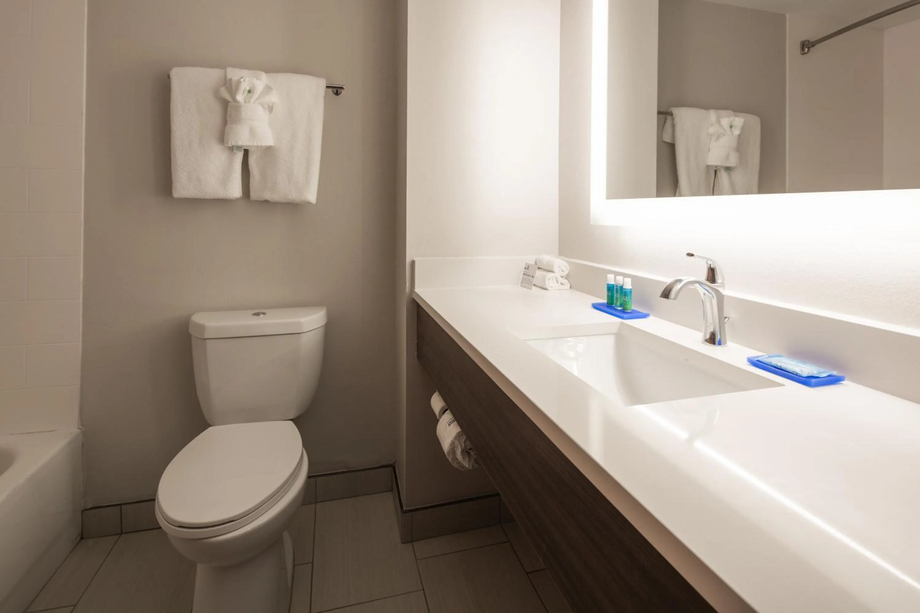 Bathroom in Holiday Inn Express Hotel & Suites Chattanooga-Lookout Mountain by IHG