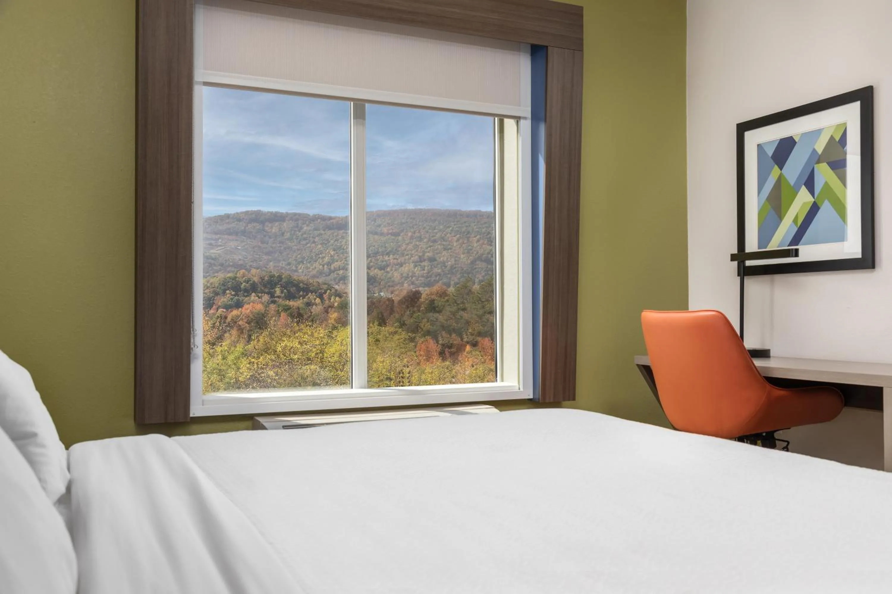 Photo of the whole room, Bed in Holiday Inn Express Hotel & Suites Chattanooga-Lookout Mountain by IHG