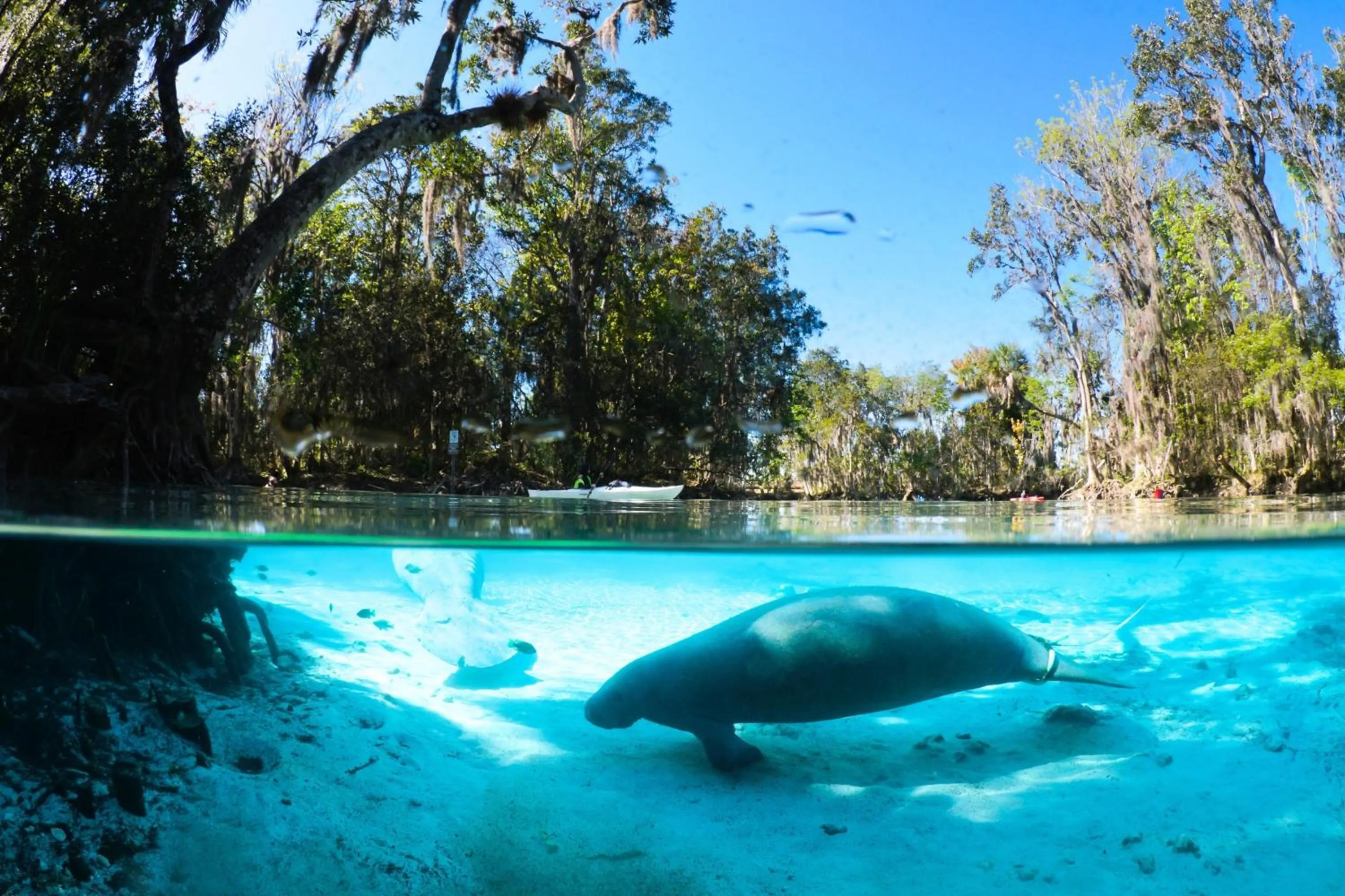 Area and facilities in Holiday Inn Express Crystal River by IHG