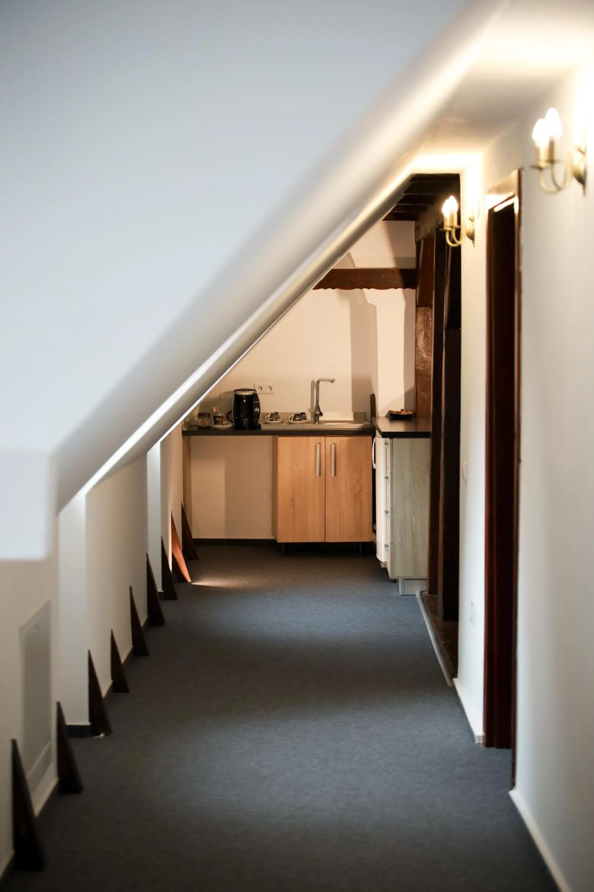 Kitchen or kitchenette in Hotel The Council