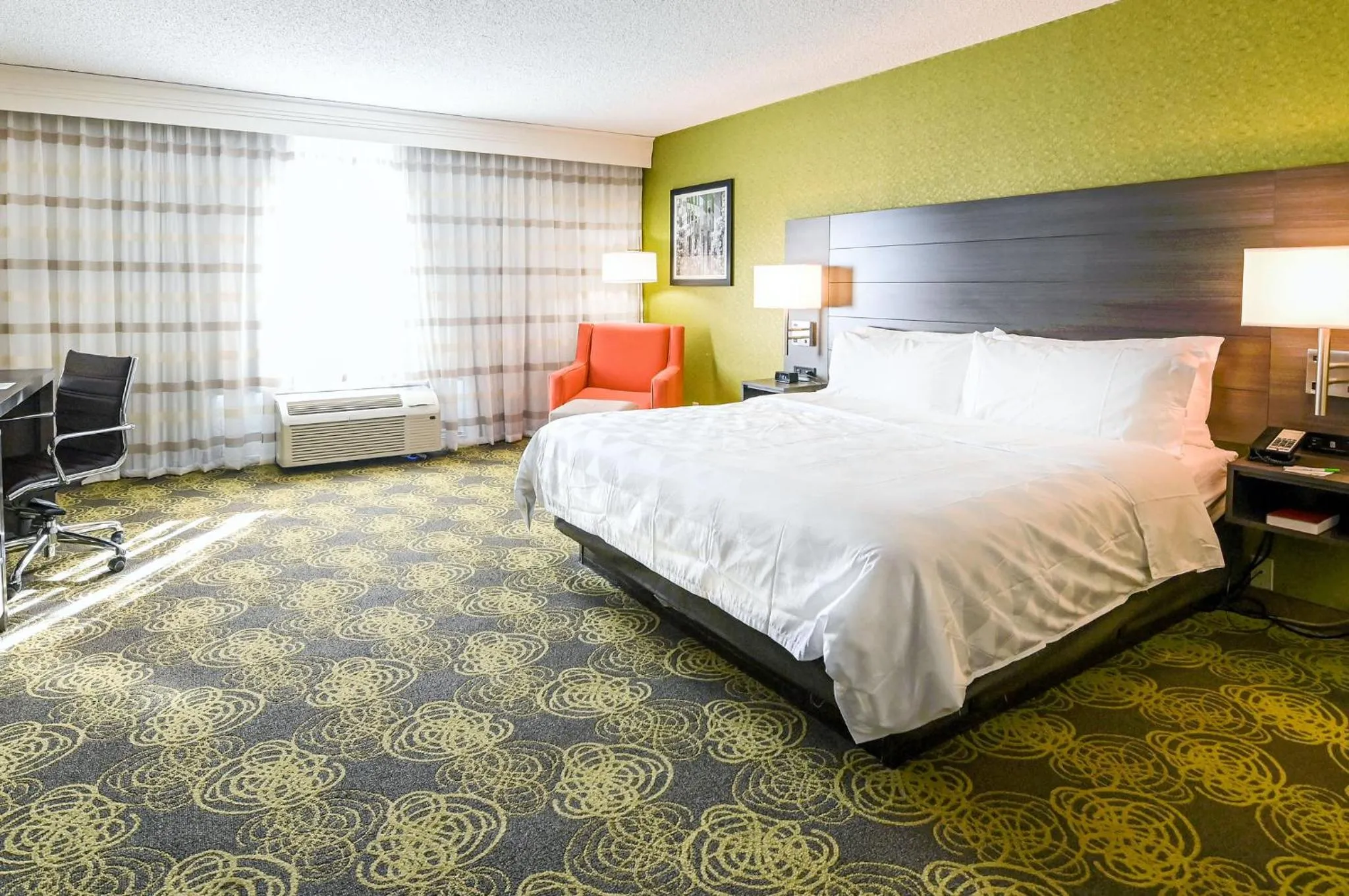 Photo of the whole room, Bed in Holiday Inn University Area Charlottesville by IHG