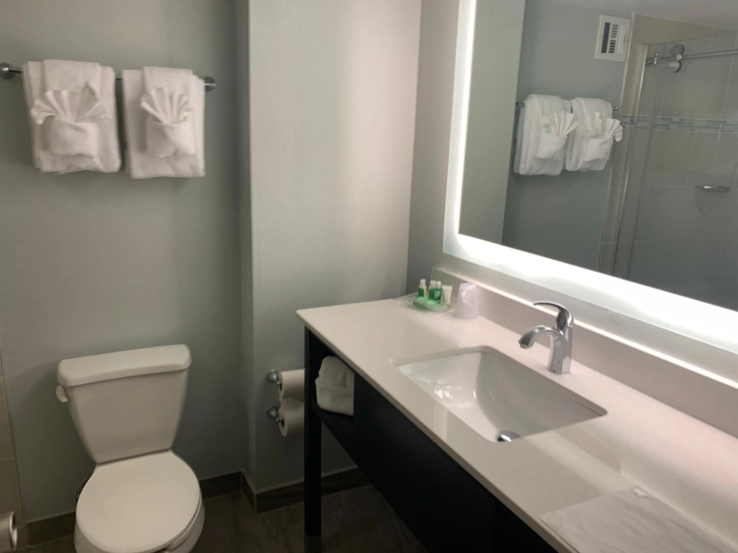Bathroom in Holiday Inn University Area Charlottesville by IHG