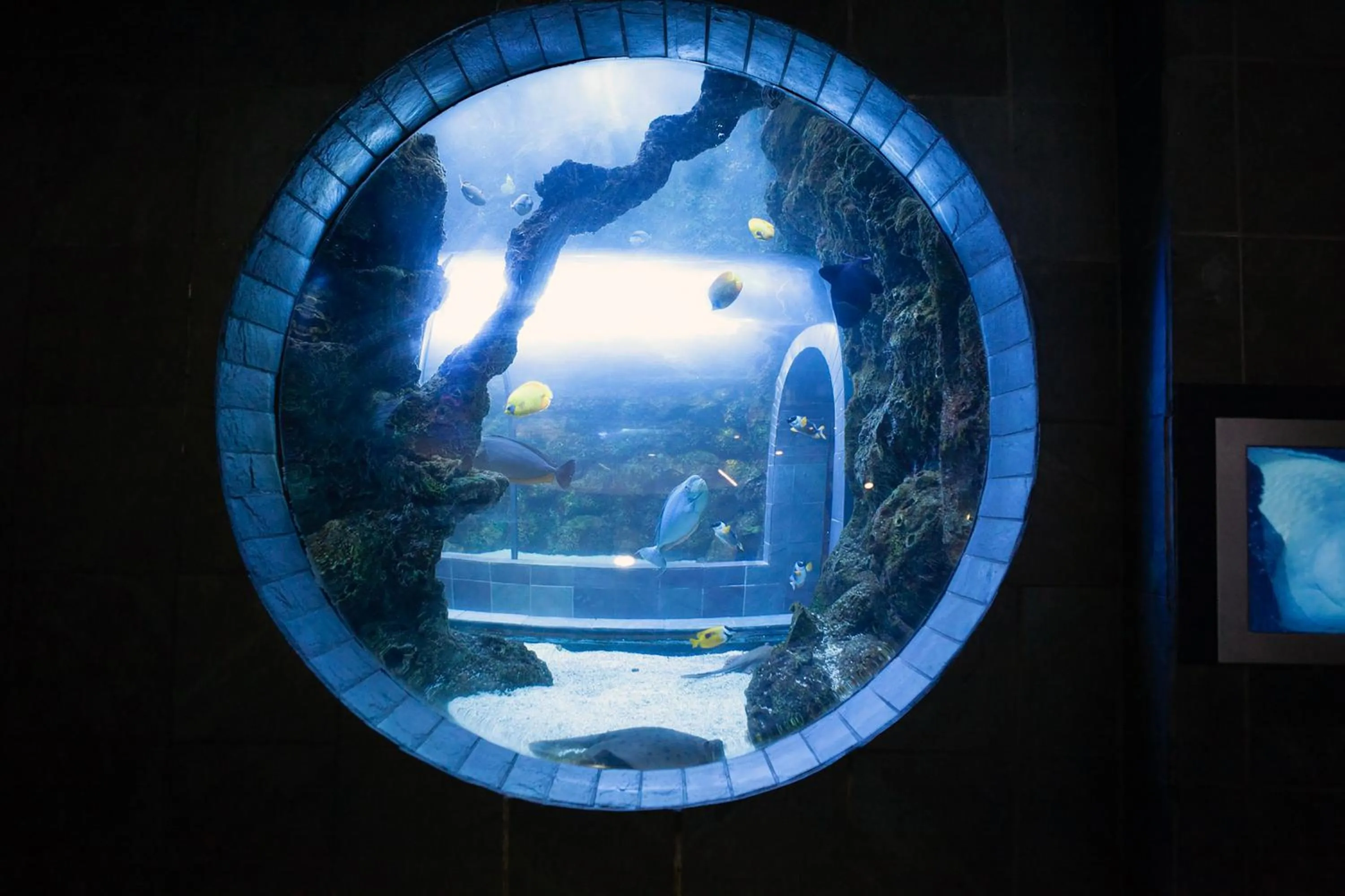 Nearby landmark in Holiday Inn Garland by IHG