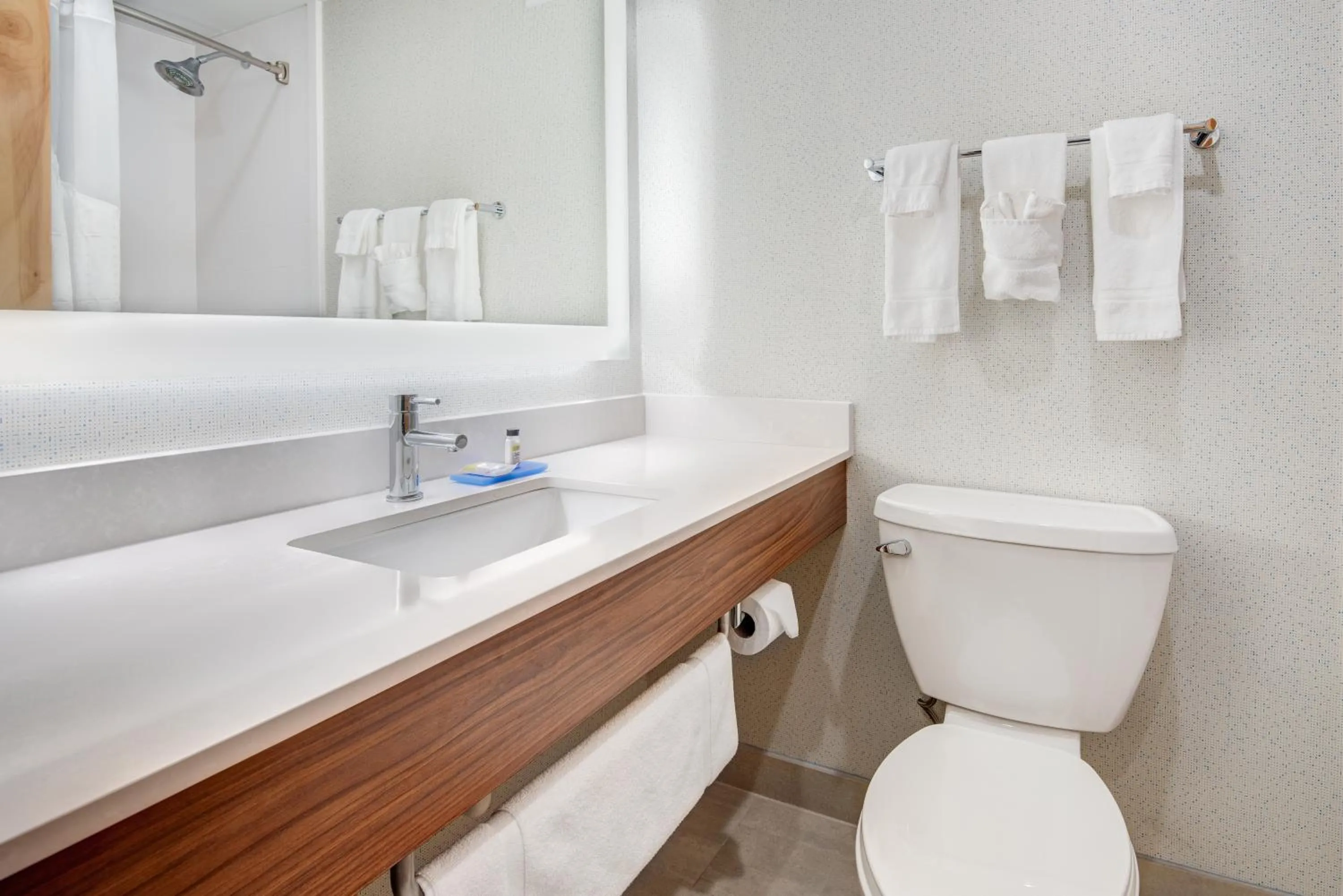 Bathroom in Holiday Inn Express & Suites West Long Branch - Eatontown by IHG