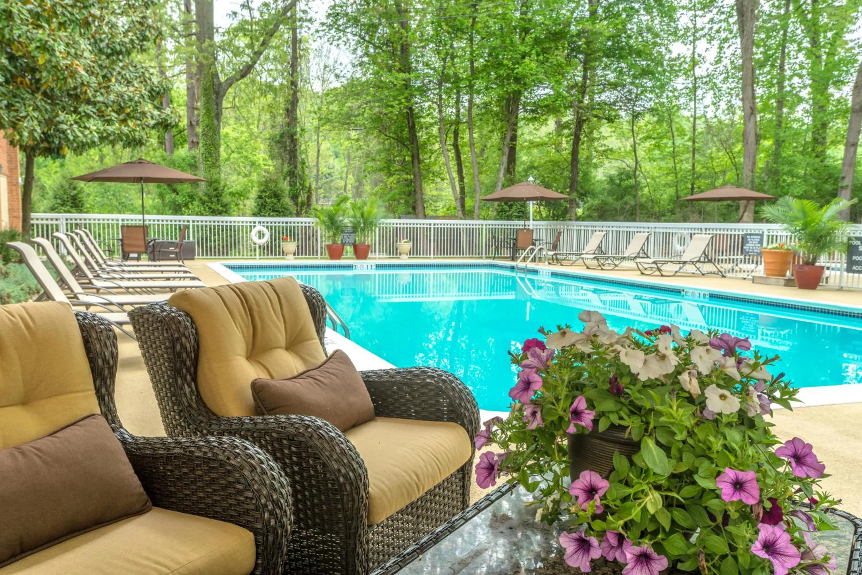 Swimming pool in Holiday Inn Charlottesville-Monticello by IHG