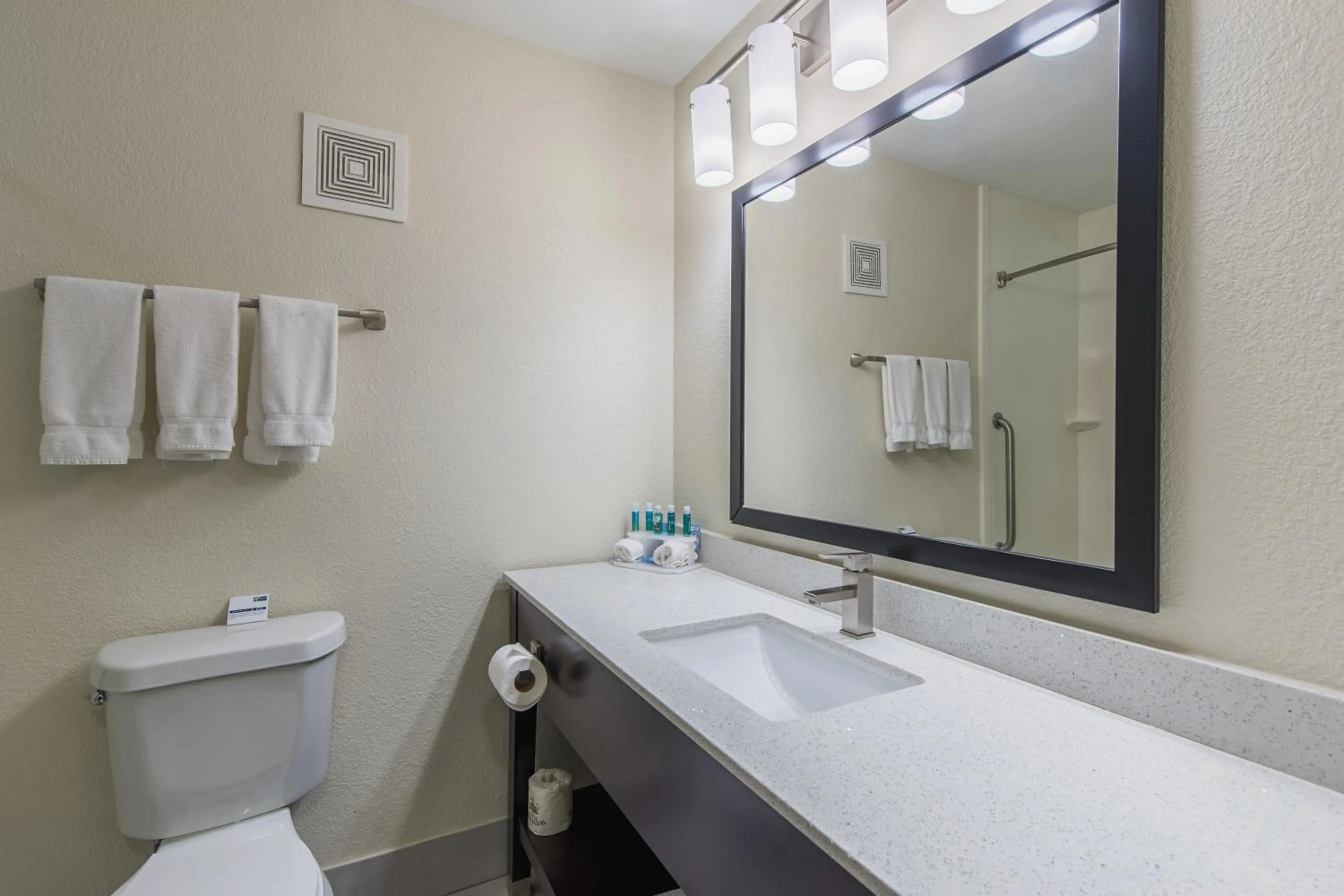 Bathroom in Holiday Inn Express Dandridge by IHG