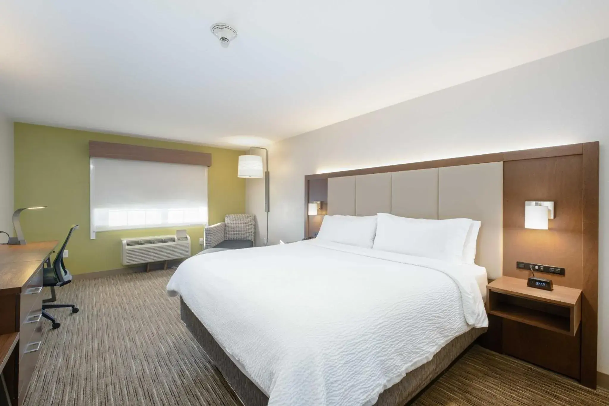 King Room - Mobility Access/Hearing Accessible in Holiday Inn Express Hotel & Suites Carlsbad by IHG King Room - Mobility Access/Hearing Accessible in Holiday Inn Express Hotel & Suites Carlsbad by IHG