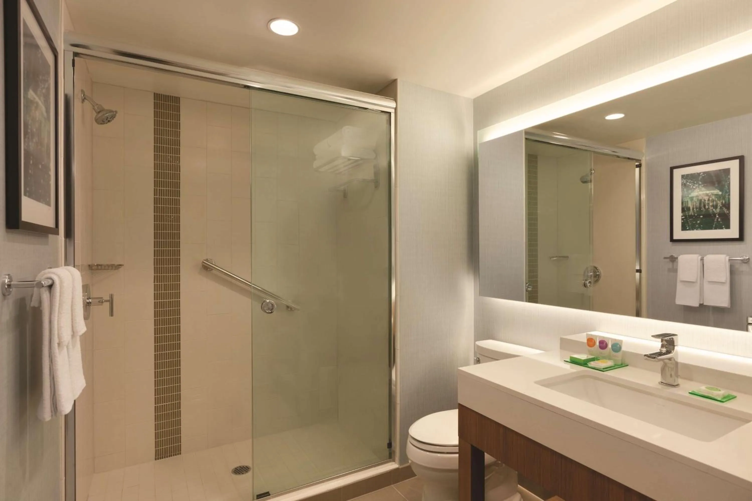 Bathroom in Hyatt Place Washington DC/Georgetown/West End