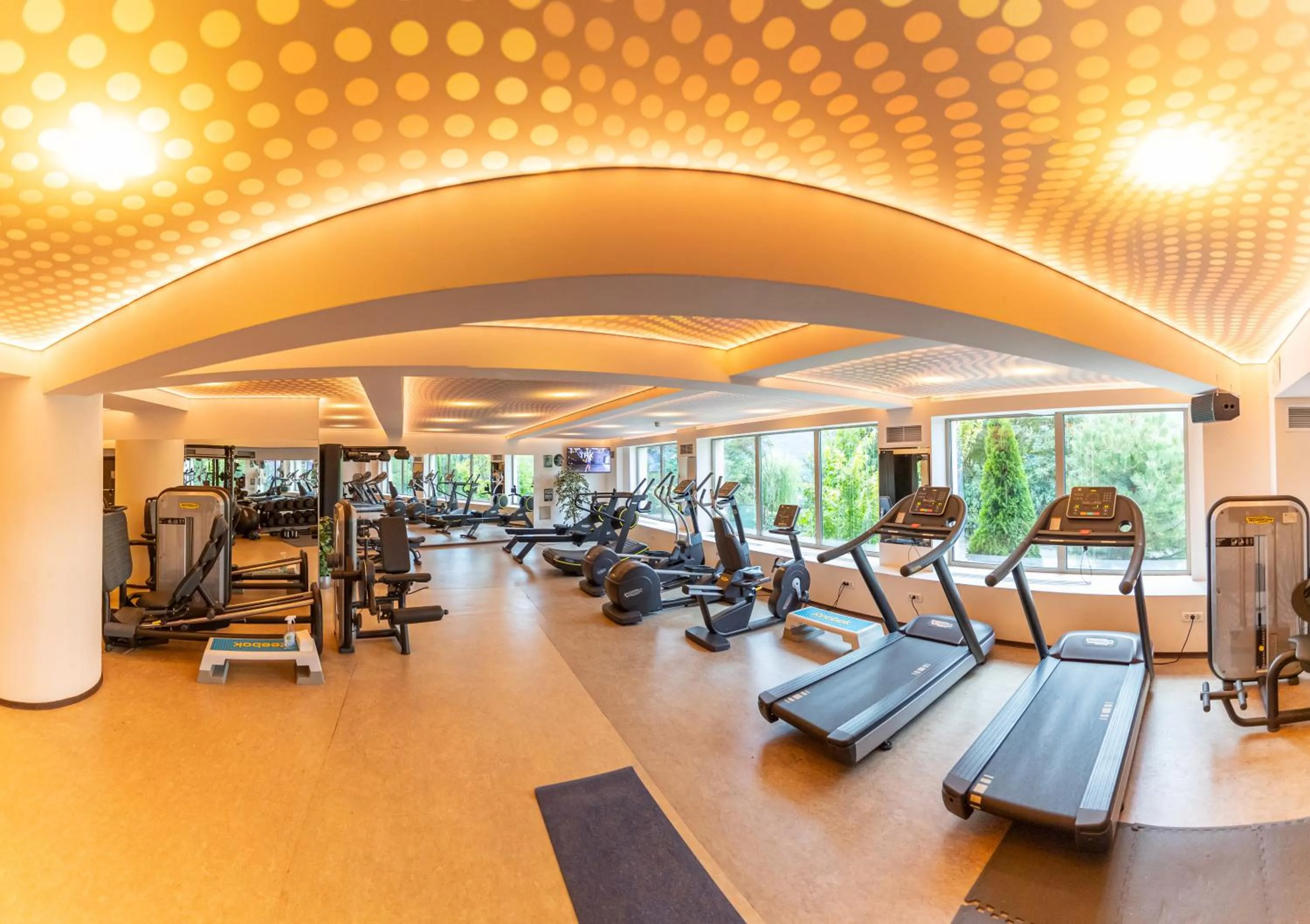 Fitness centre/facilities in Hotel Belvedere