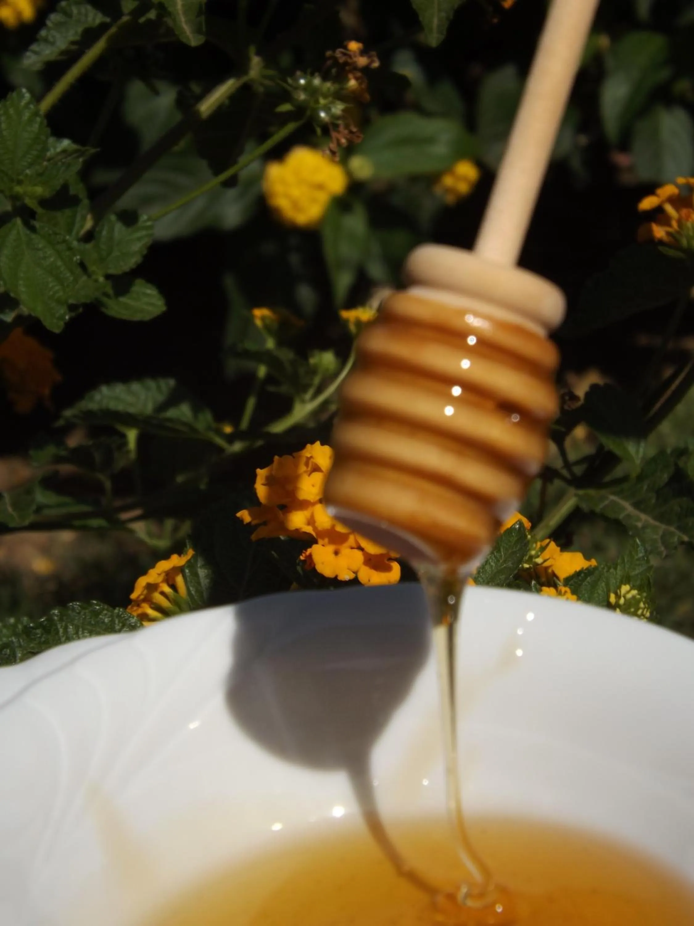 Restaurant/places to eat in Le Anfore Hotel