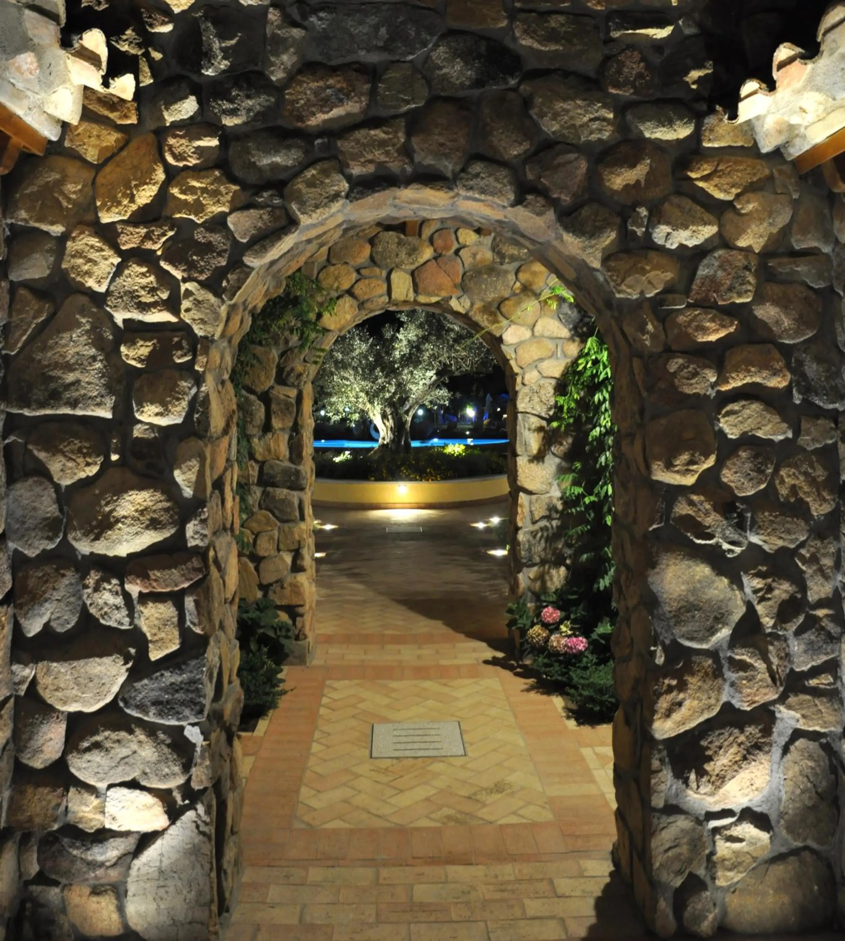 Garden in Le Anfore Hotel