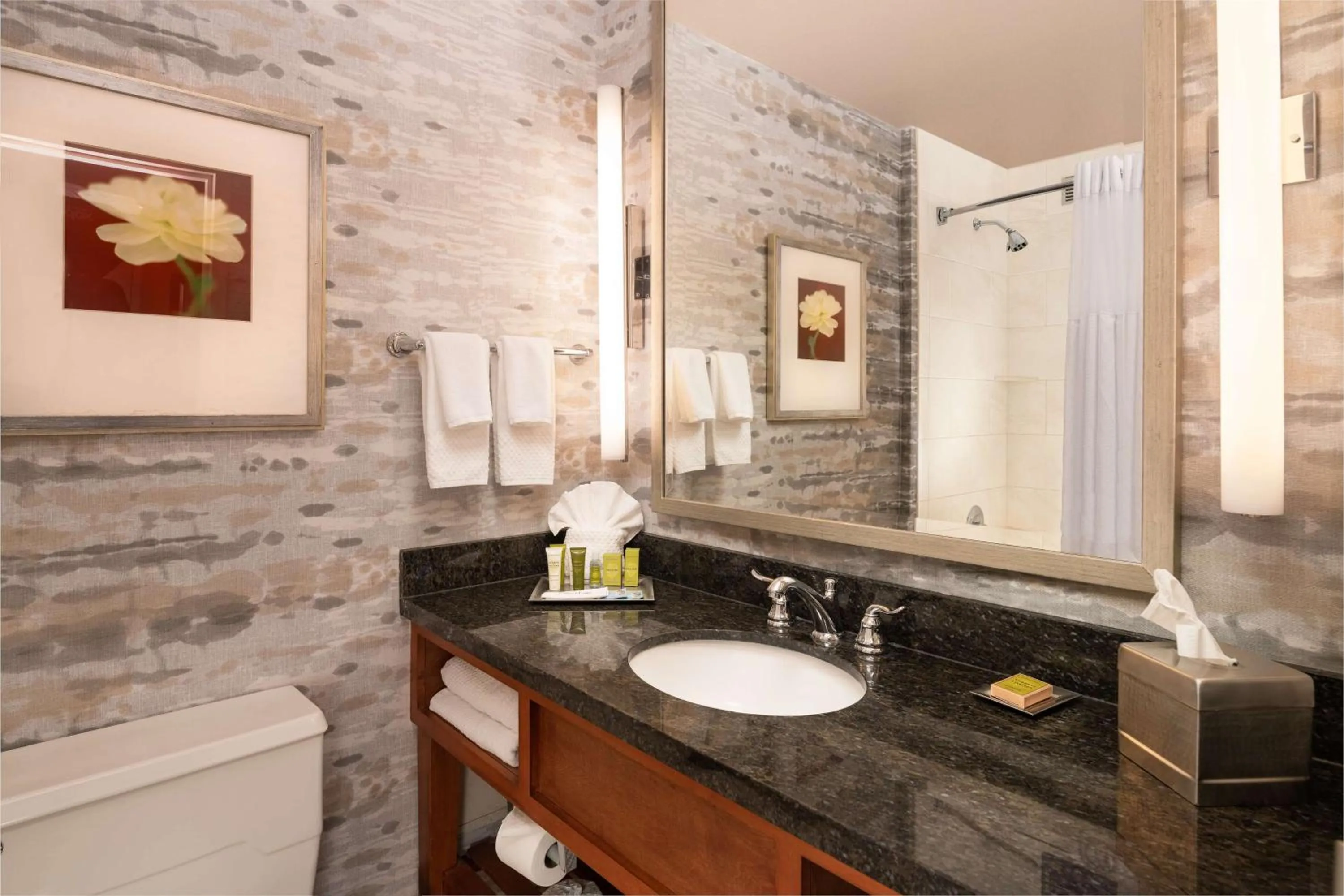 Bathroom in Hilton Lexington Downtown