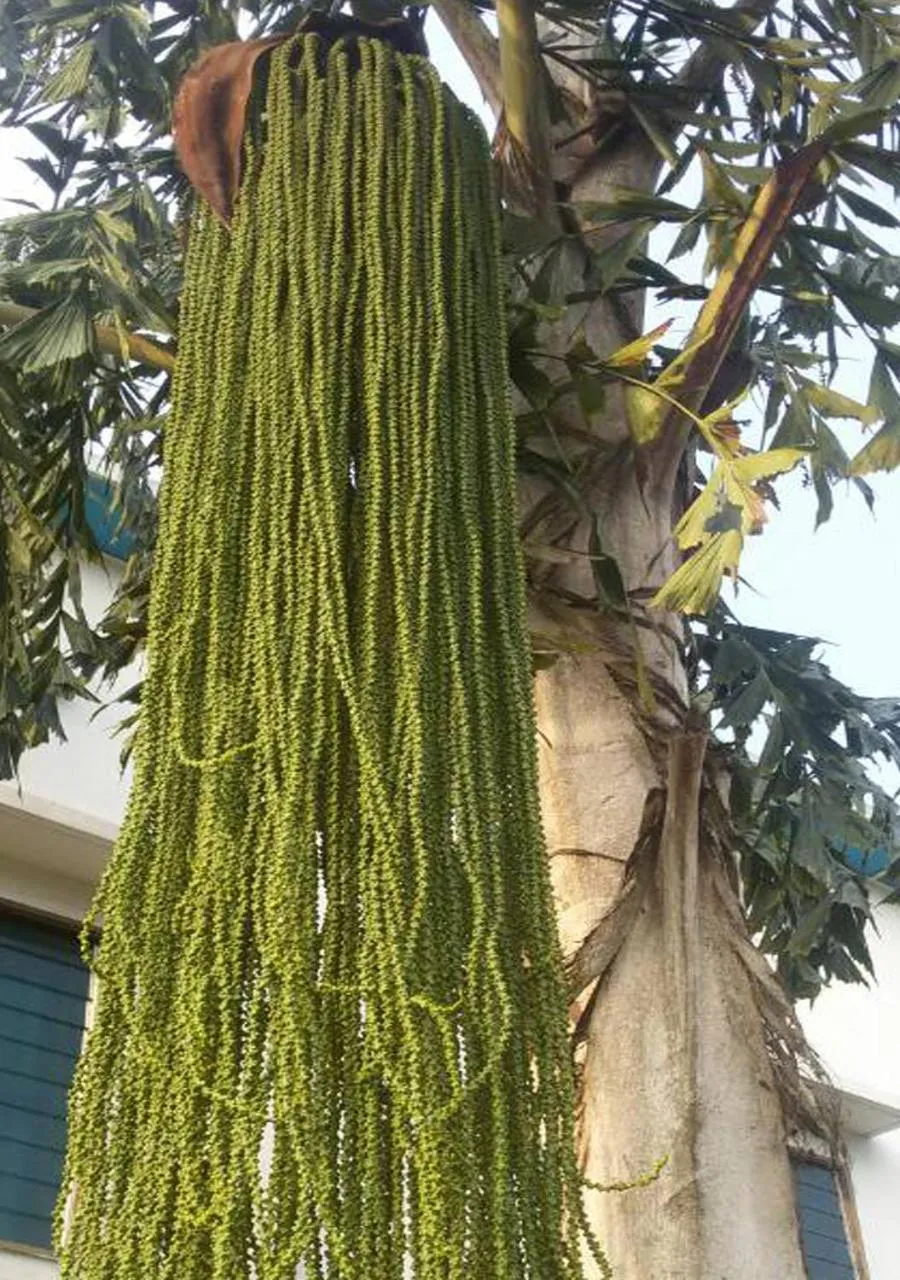 Other in Hôtels Résidences Easy