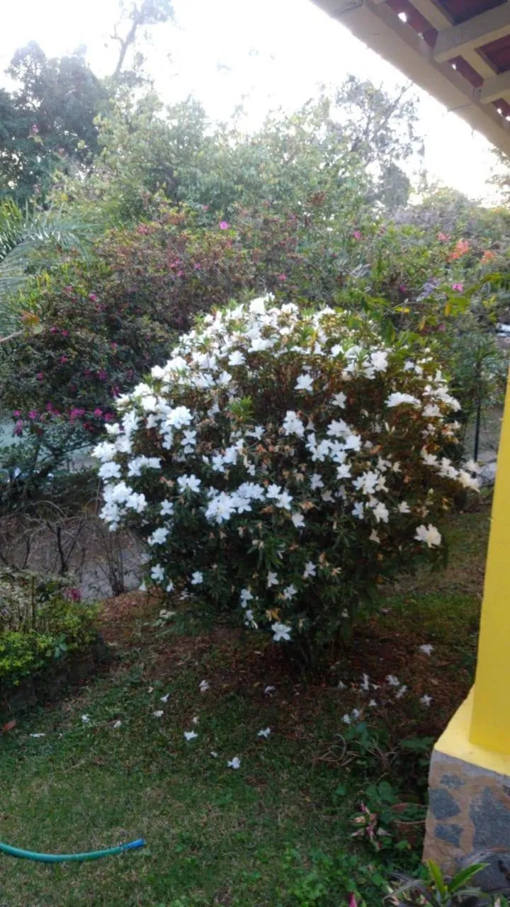 Garden in Pousada Sitio Sossego