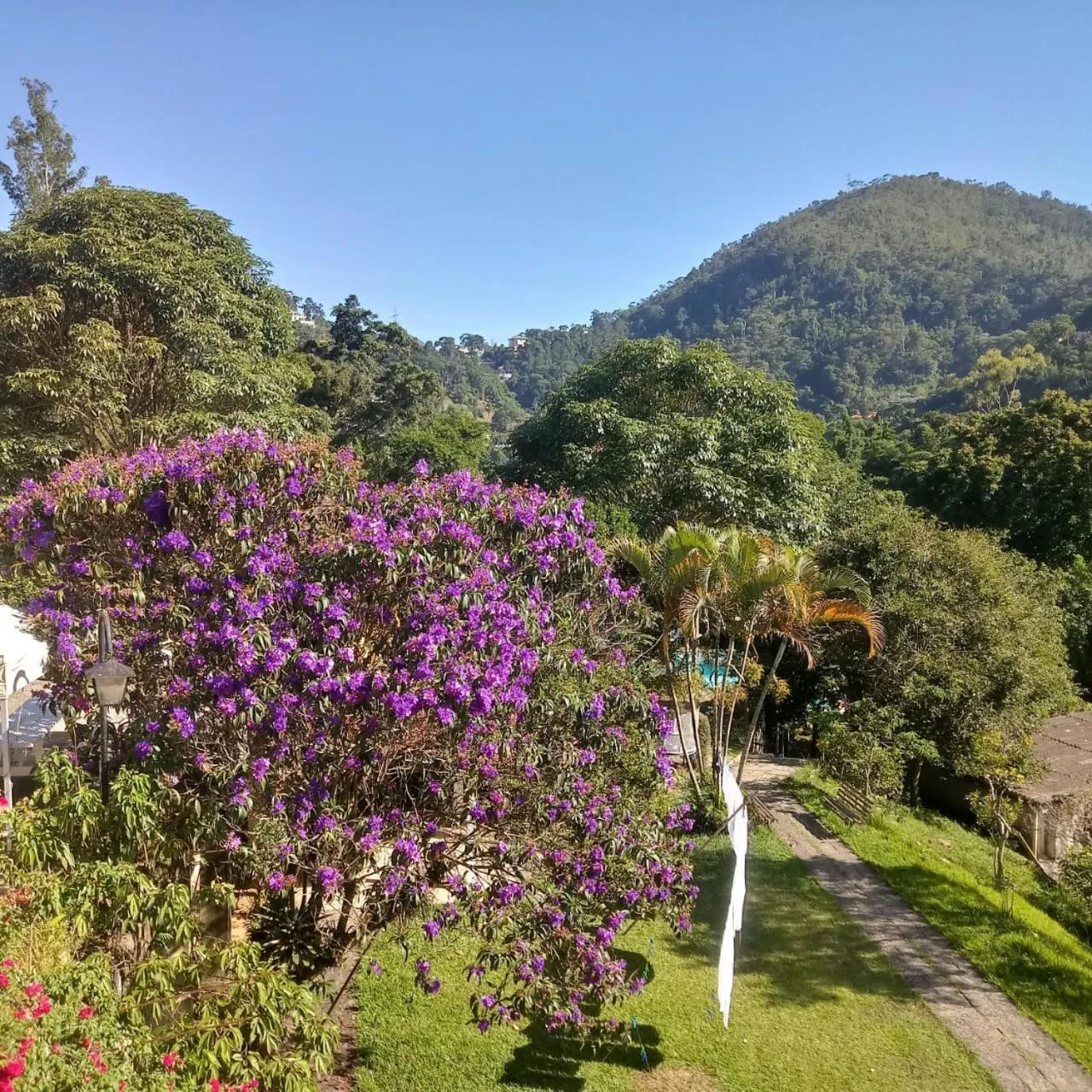Natural landscape in Pousada Sitio Sossego