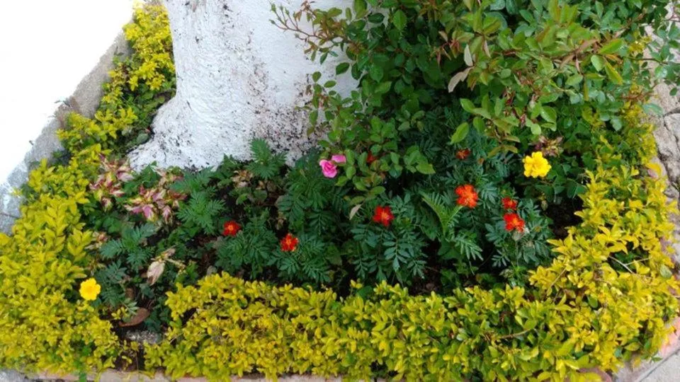 Garden in Pousada Sitio Sossego