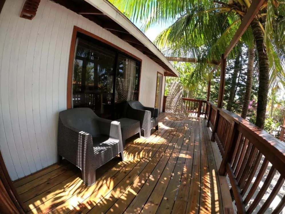 Coconut Tree West Bay