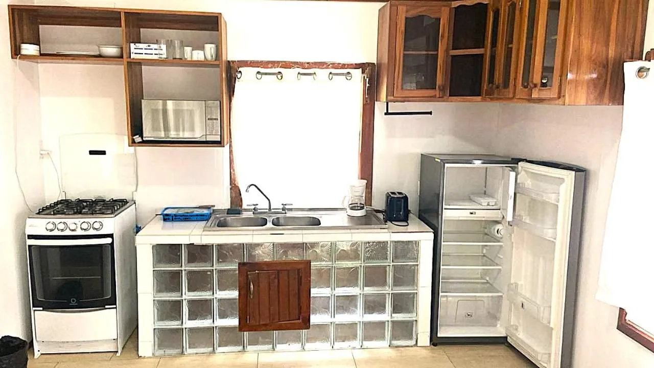 Coconut Tree West Bay