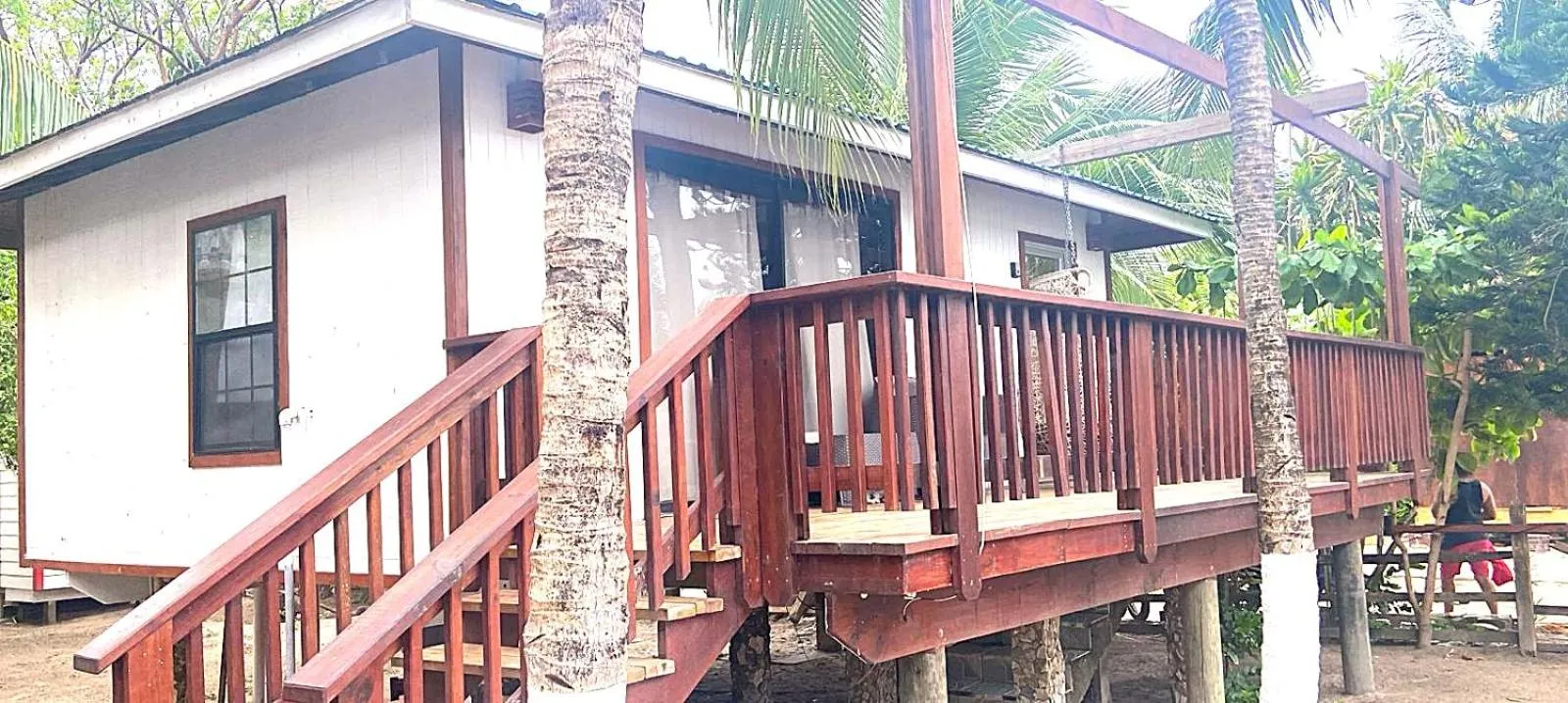 Coconut Tree West Bay