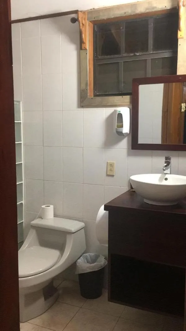 Coconut Tree West Bay