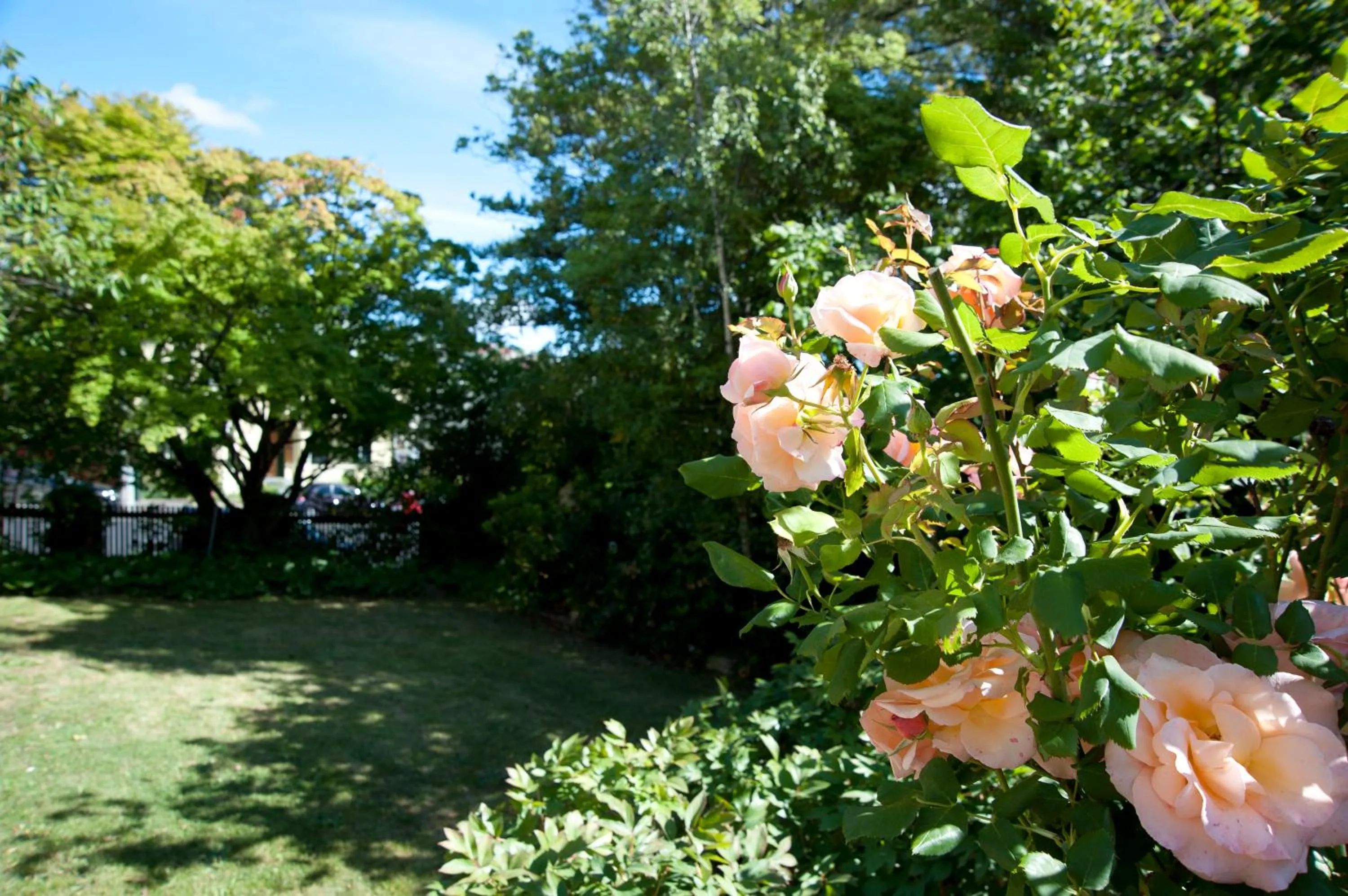 Day in Lowena Cafe and Accommodation