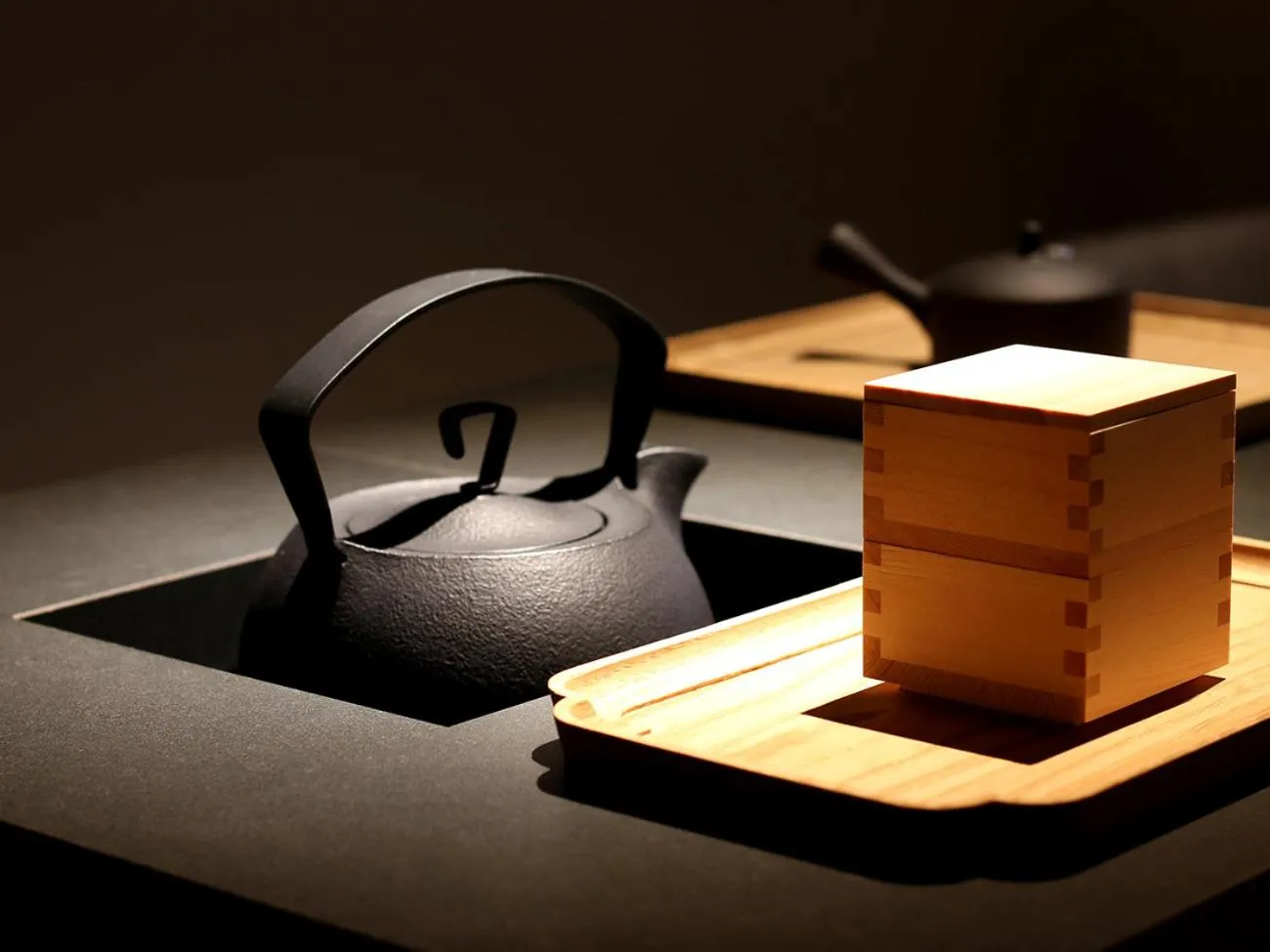 Area and facilities in Hotel Anaga