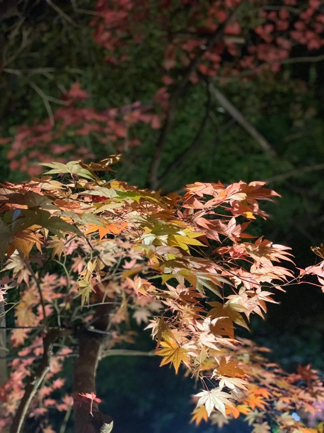 Property building in Kinosato Yamanoyu