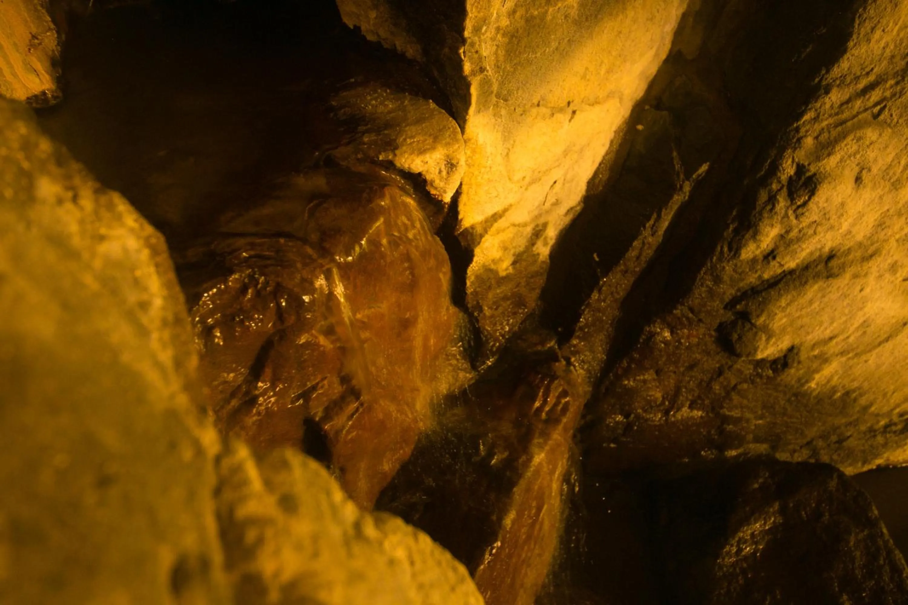 Other in Kinosato Yamanoyu