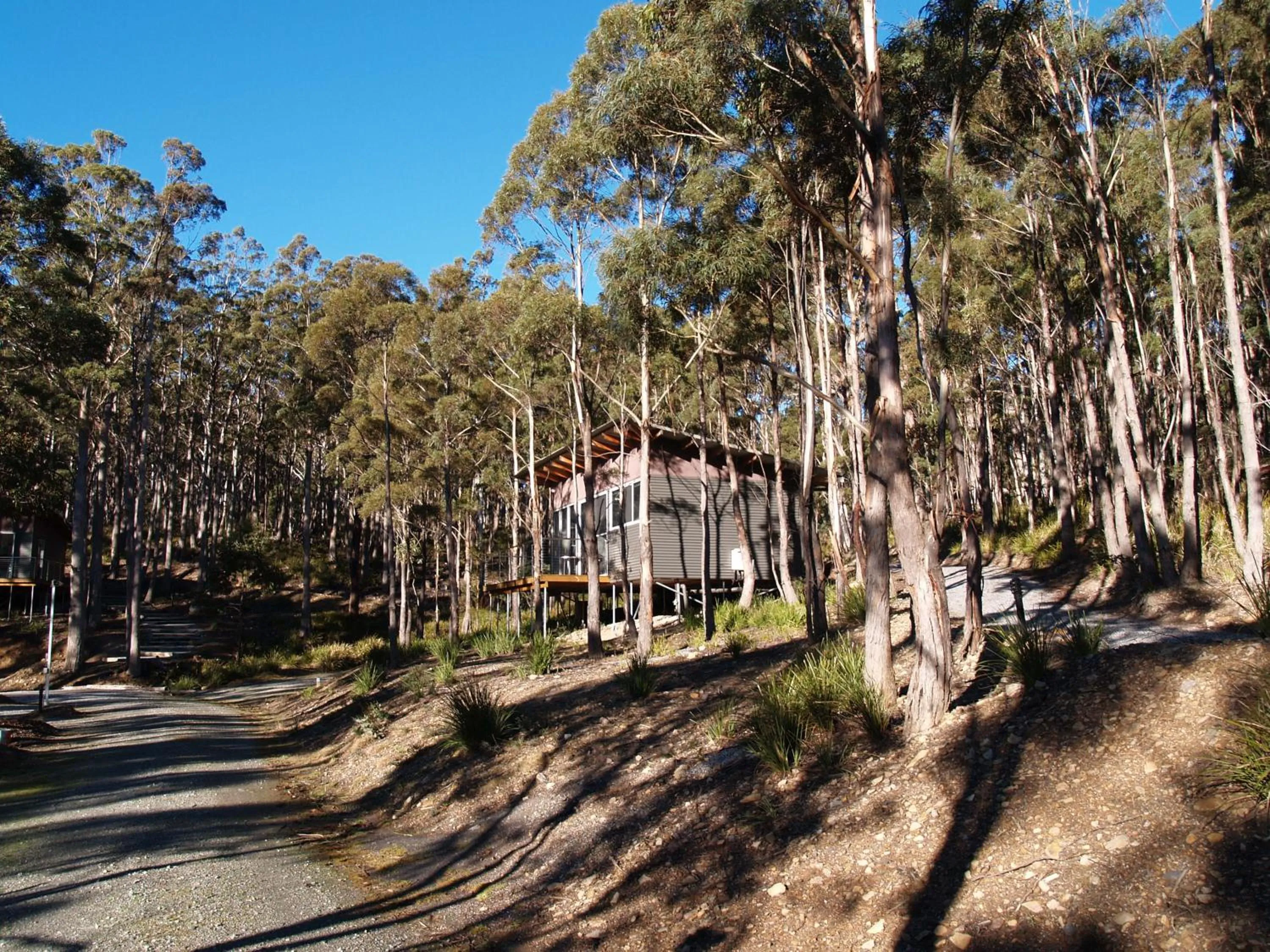Property building in Craggy Peaks Wilderness Cabins