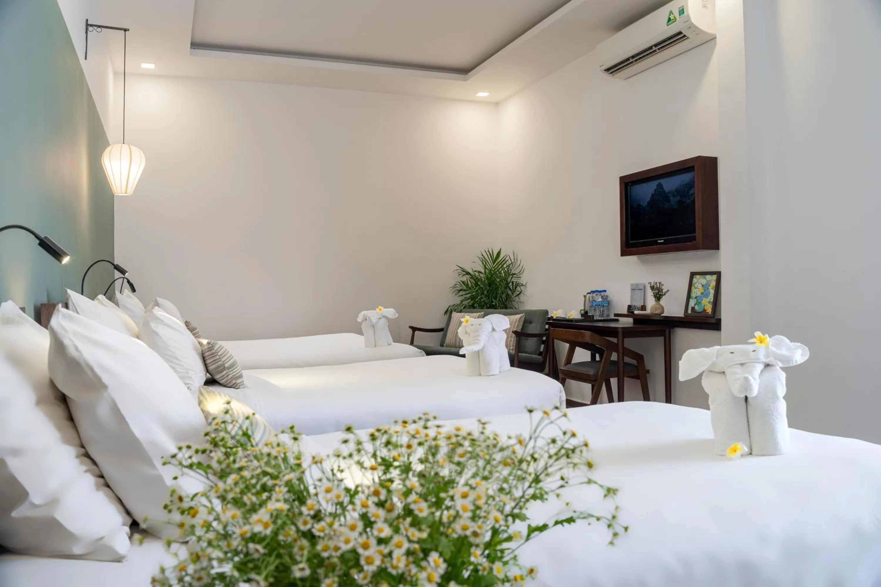 Photo of the whole room, Bed in Volar Hoi An