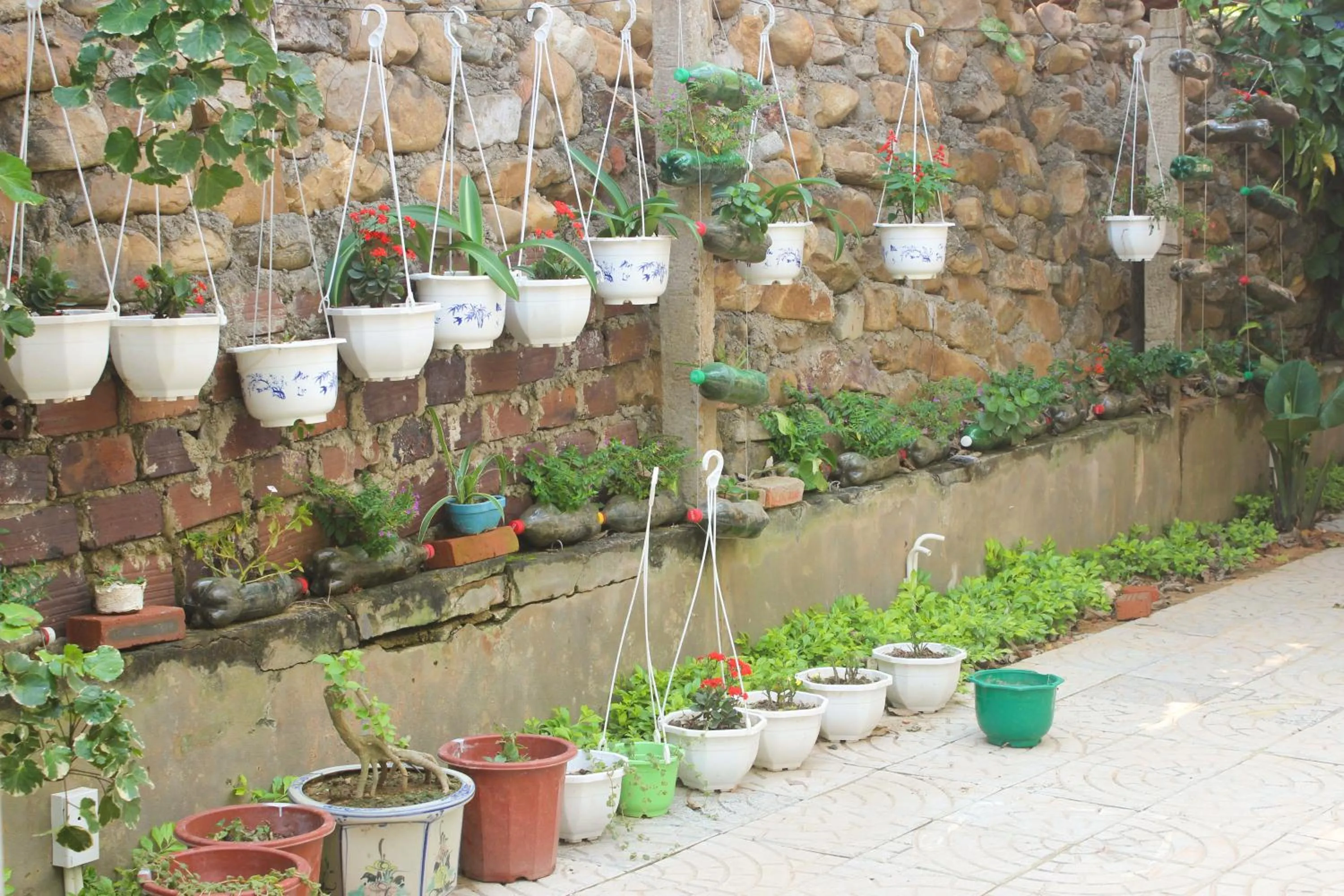 Garden in Hoa Binh Hotel