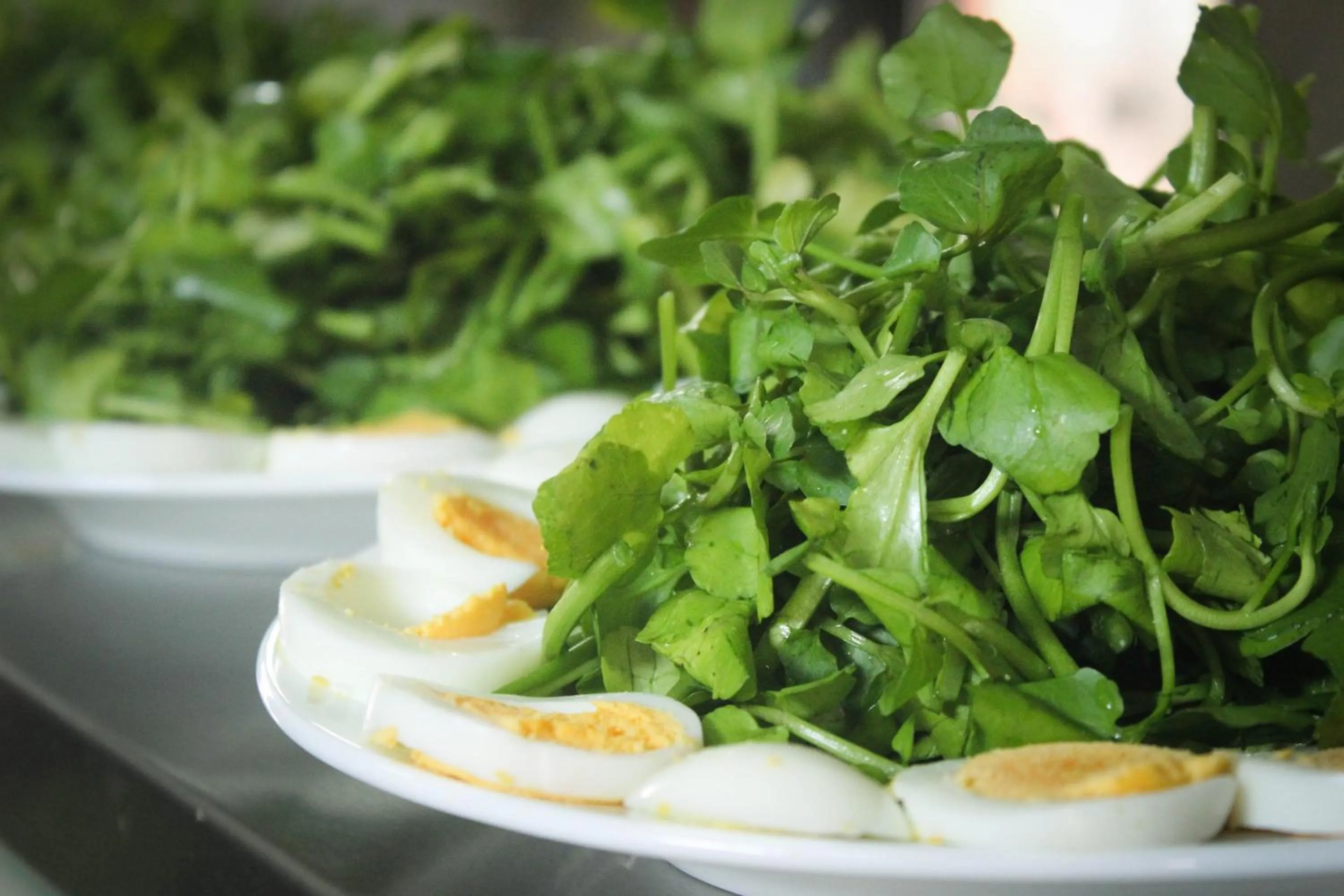 Restaurant/places to eat in Hoa Binh Hotel