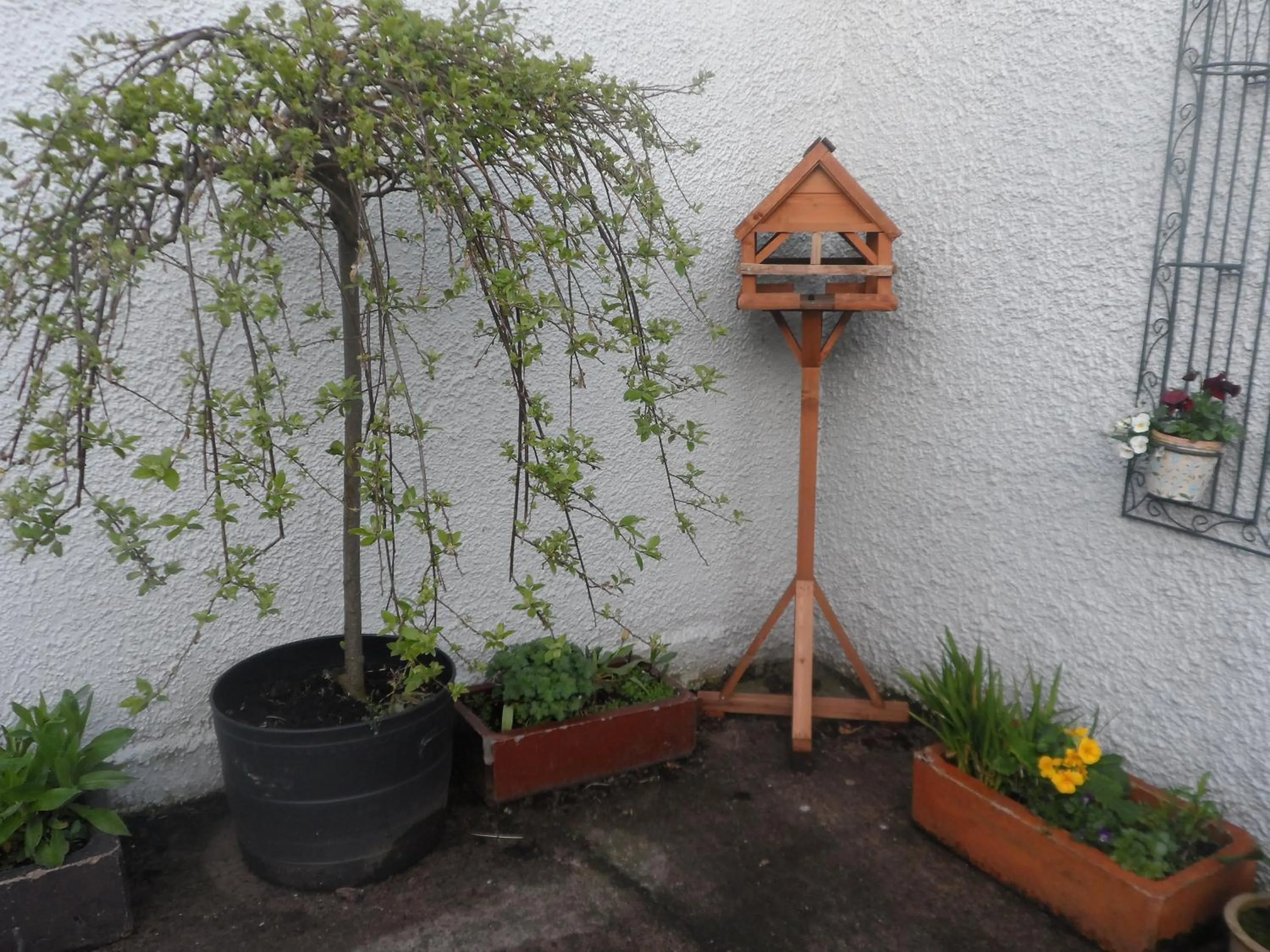 Balcony/Terrace in Midtown Farm Bed & Breakfast