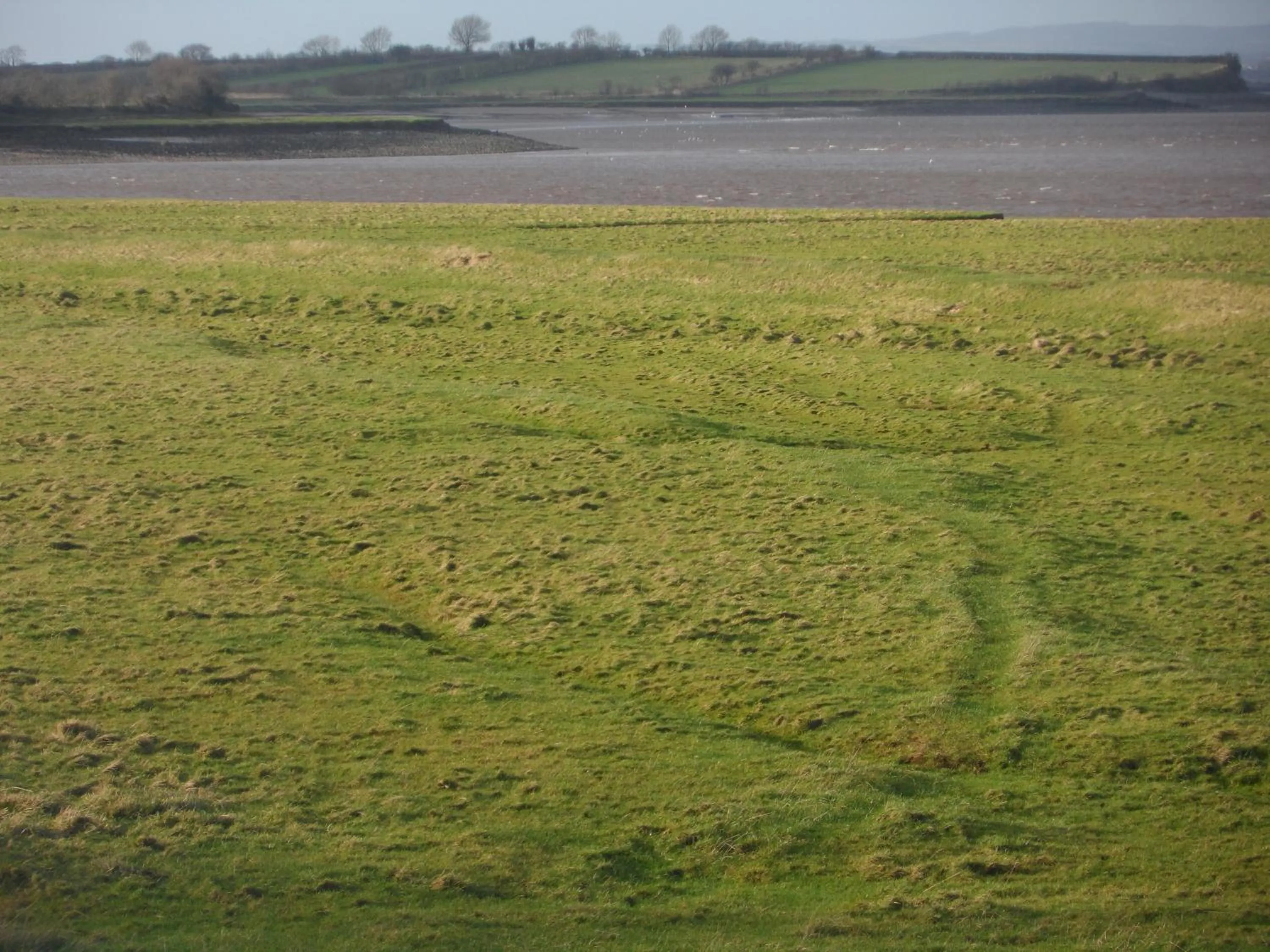 Neighbourhood in Midtown Farm Bed & Breakfast