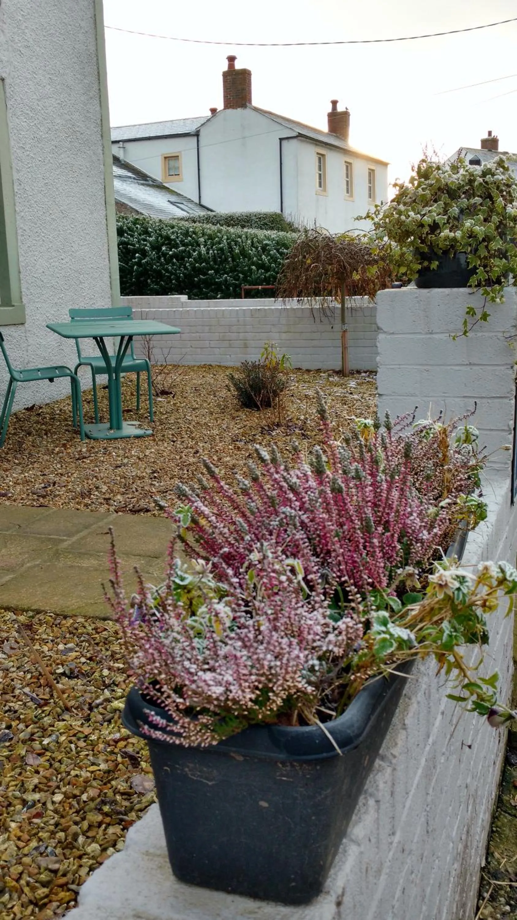 Garden in Midtown Farm Bed & Breakfast