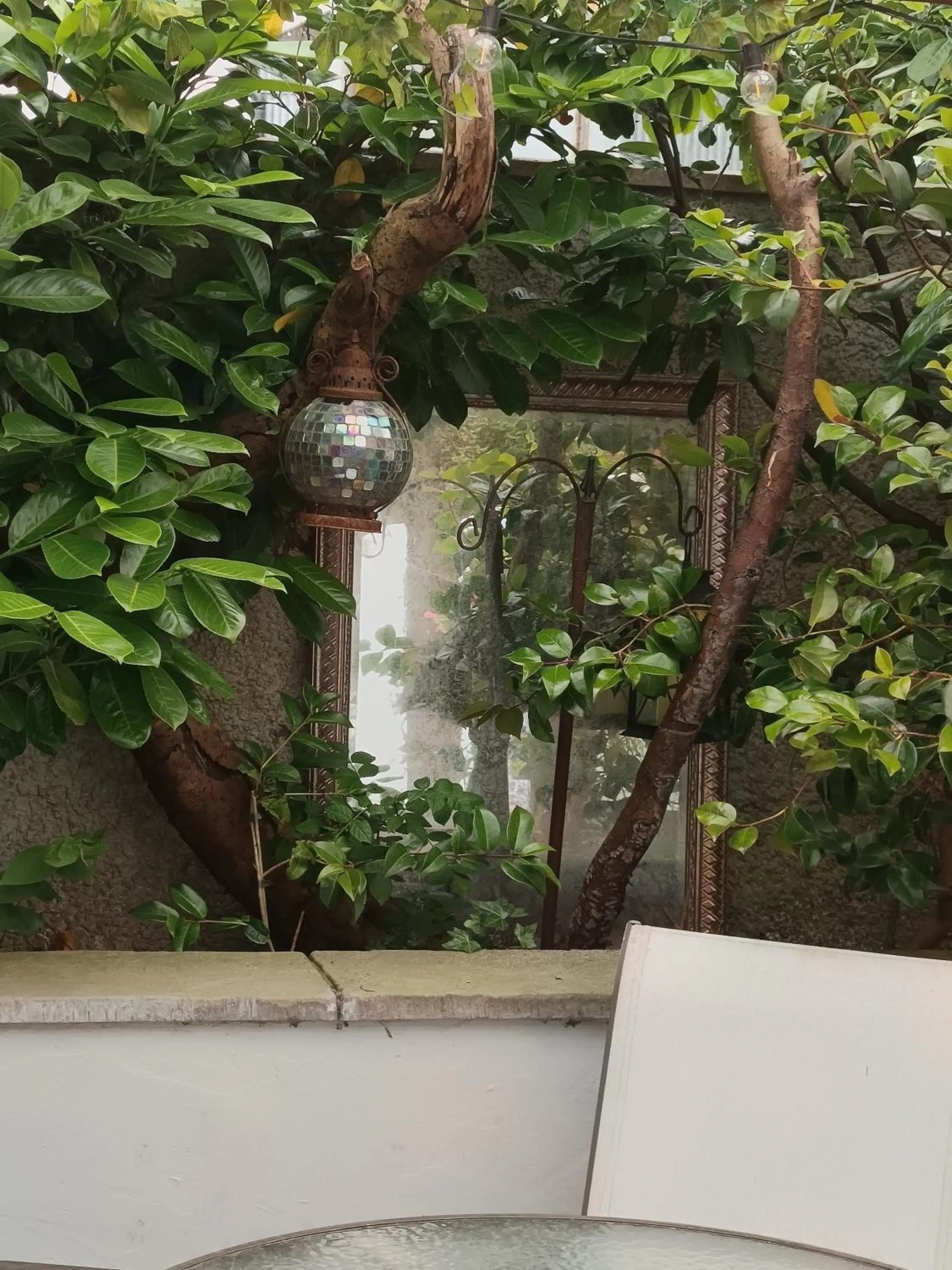 Midtown Farm Bed & Breakfast