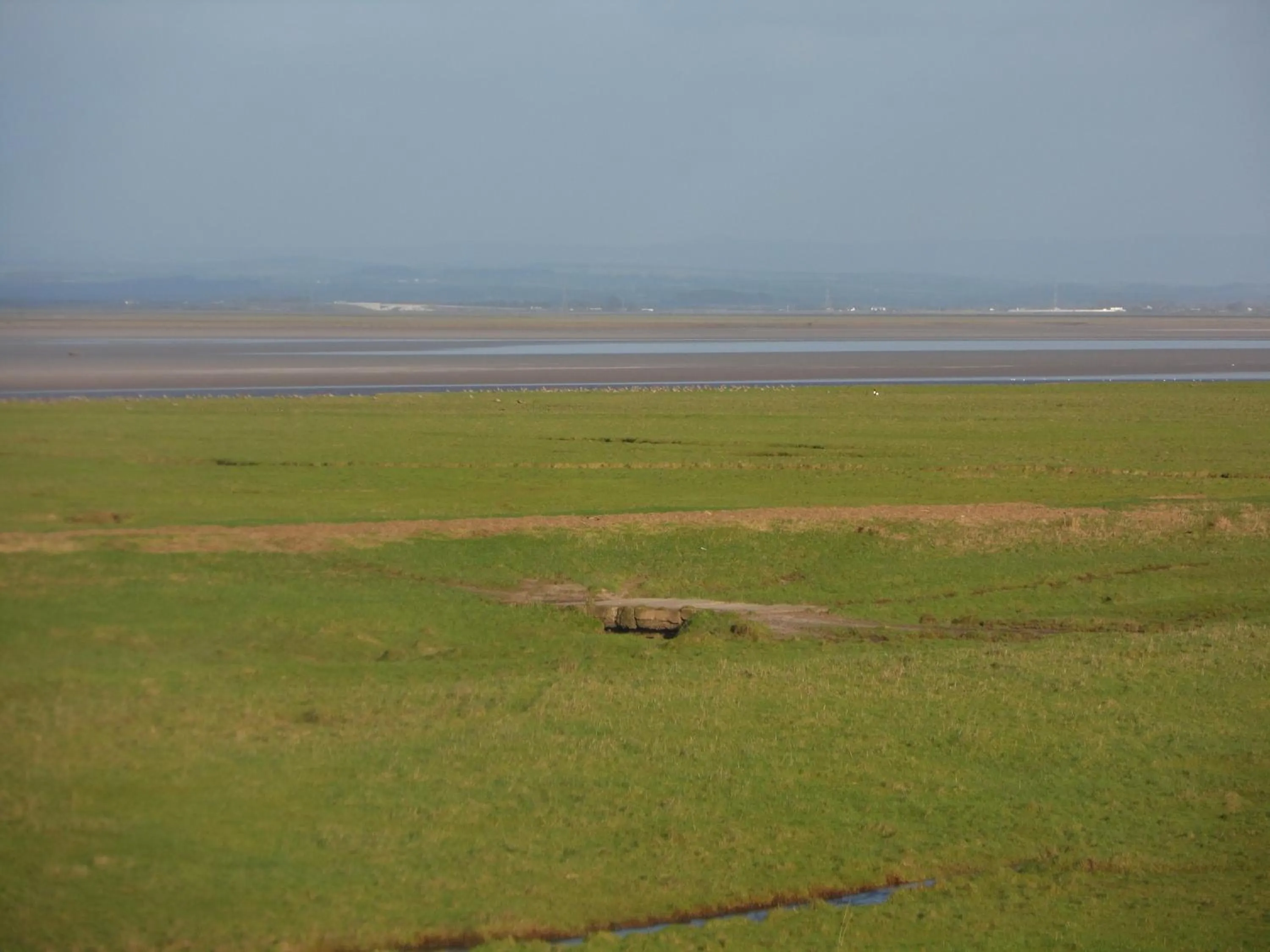 Natural landscape in Midtown Farm Bed & Breakfast