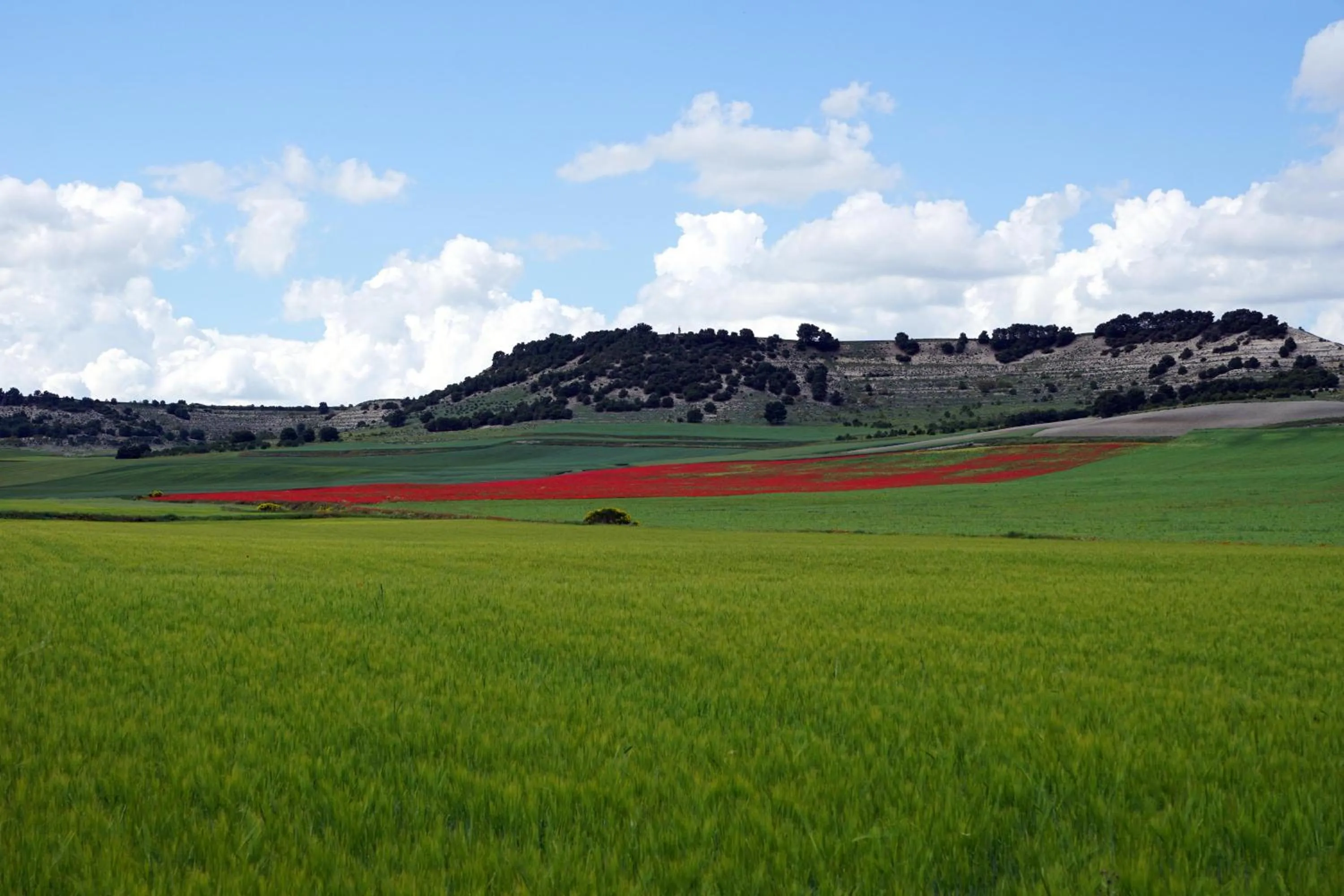 Property building in La Siesta