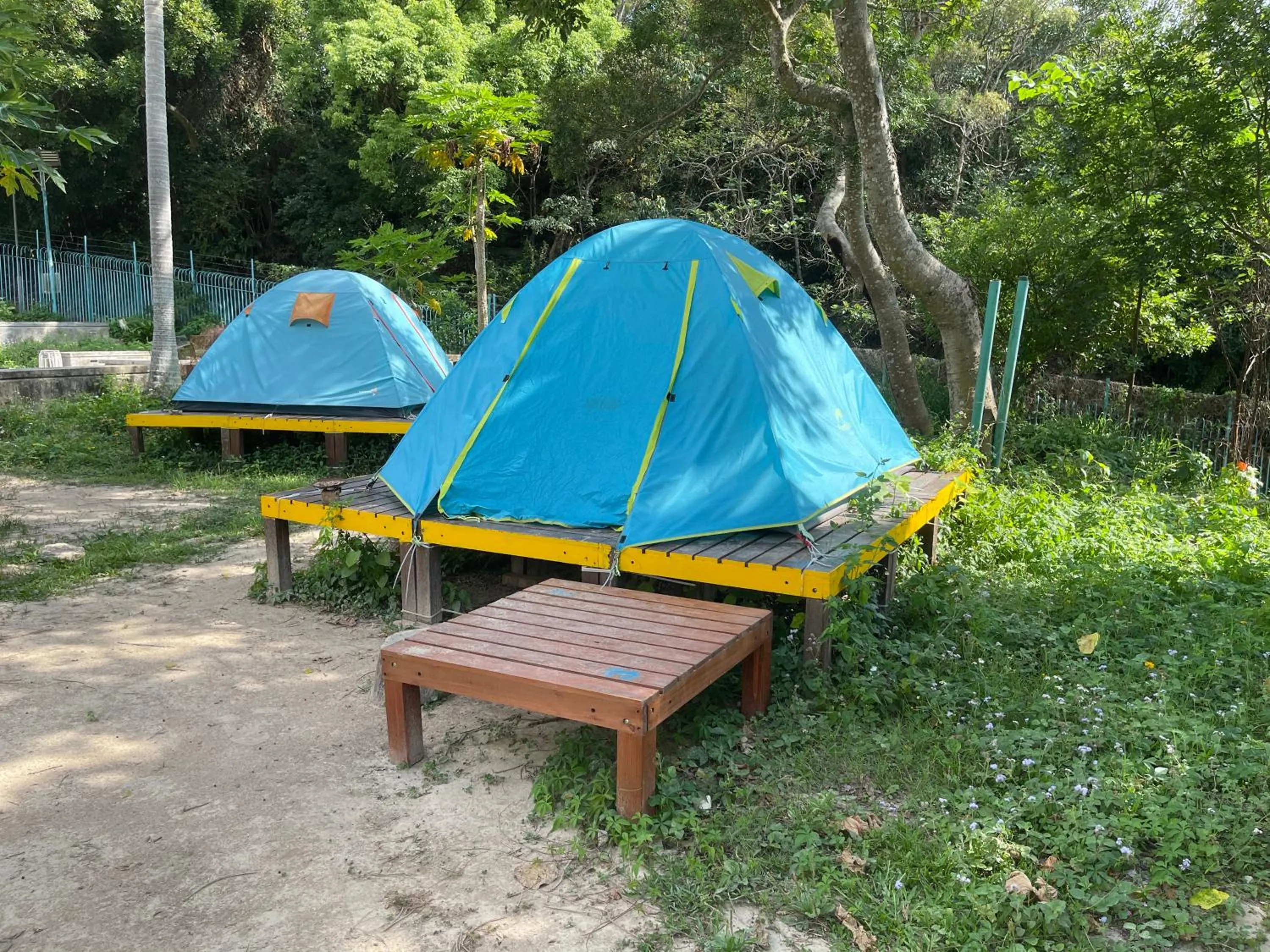 View (from property/room) in YHA Jockey Club Mt. Davis Youth Hostel