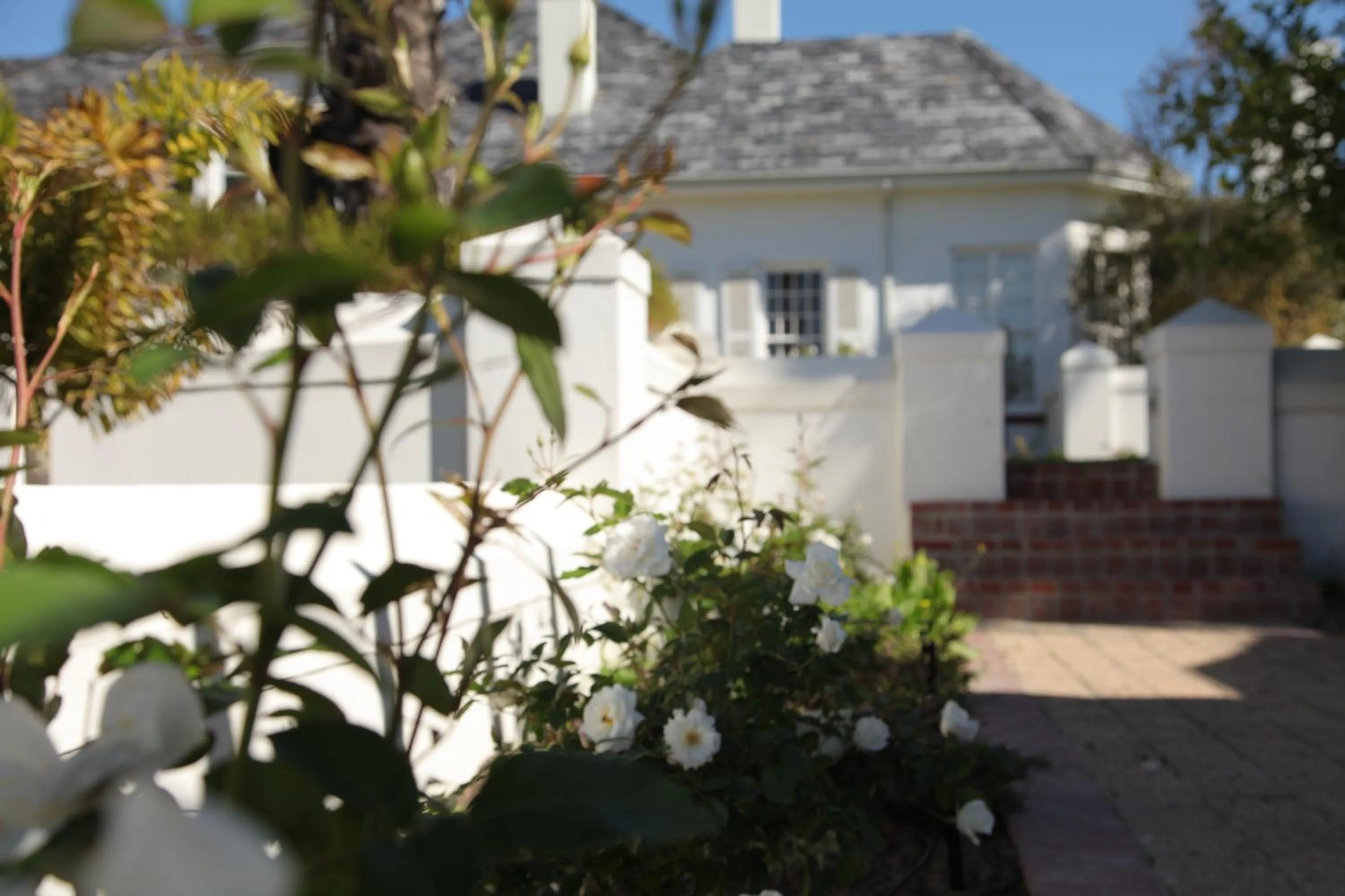 Day in Wild Mushroom Country House