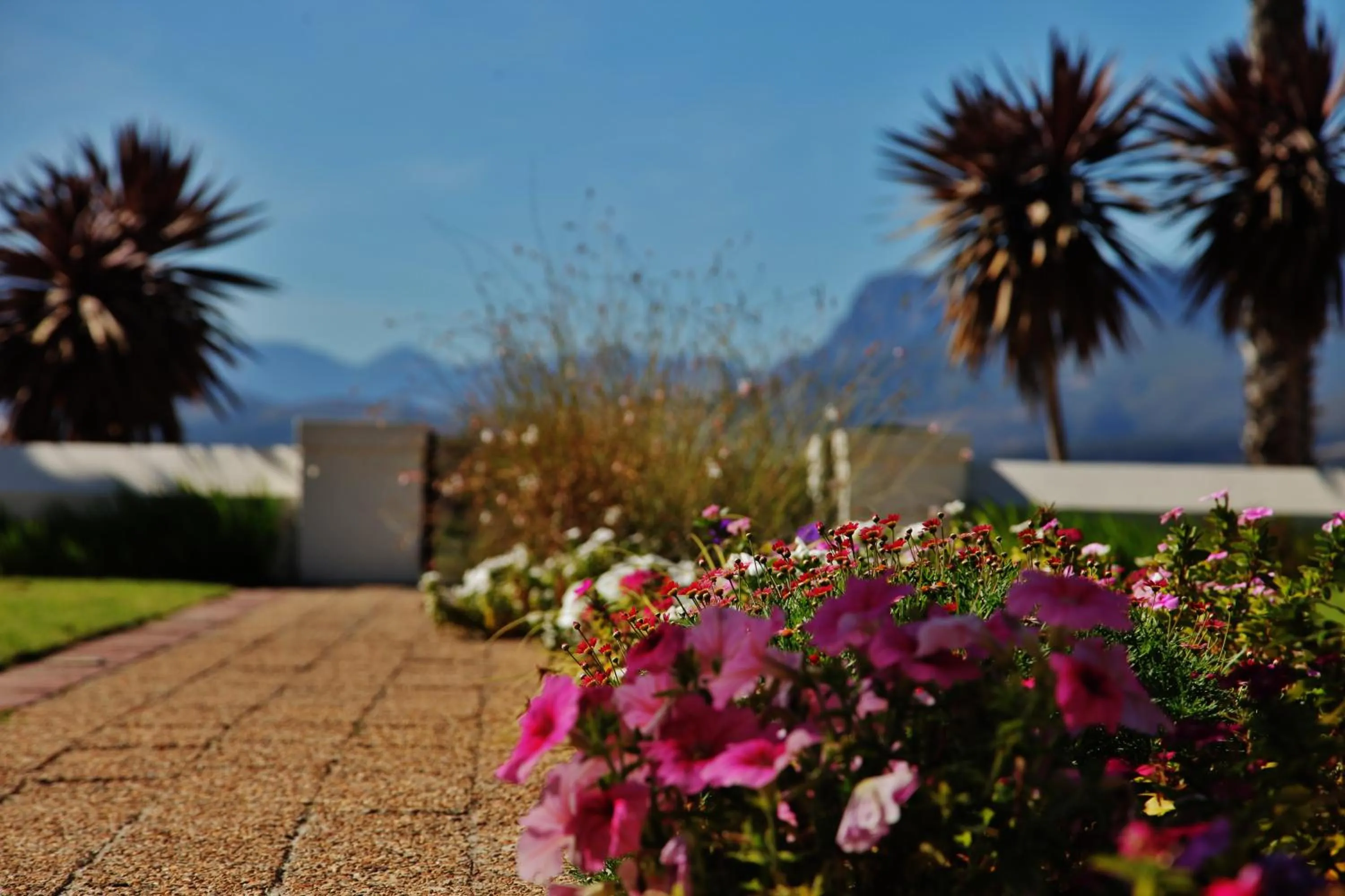 Day in Wild Mushroom Country House