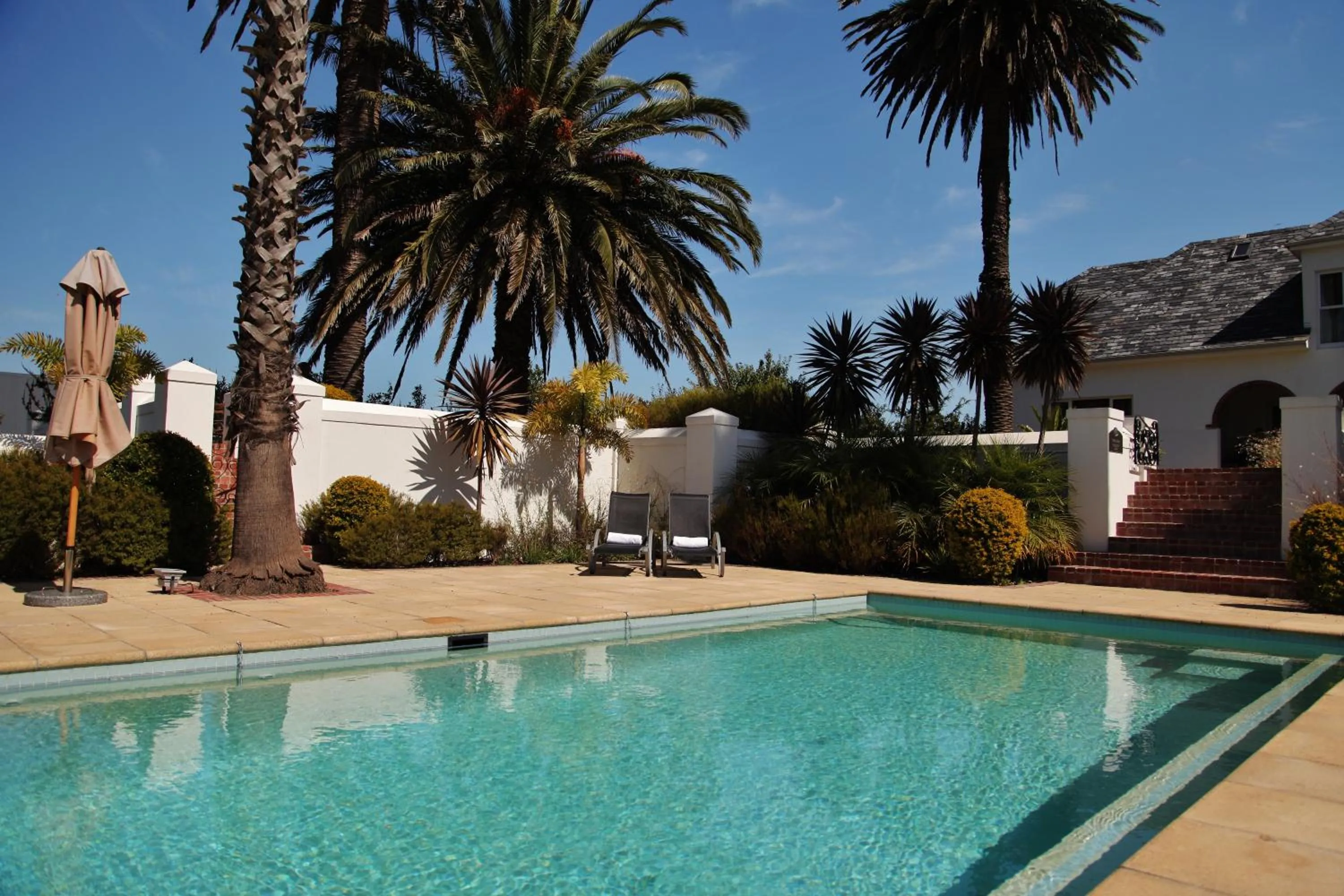 Day in Wild Mushroom Country House