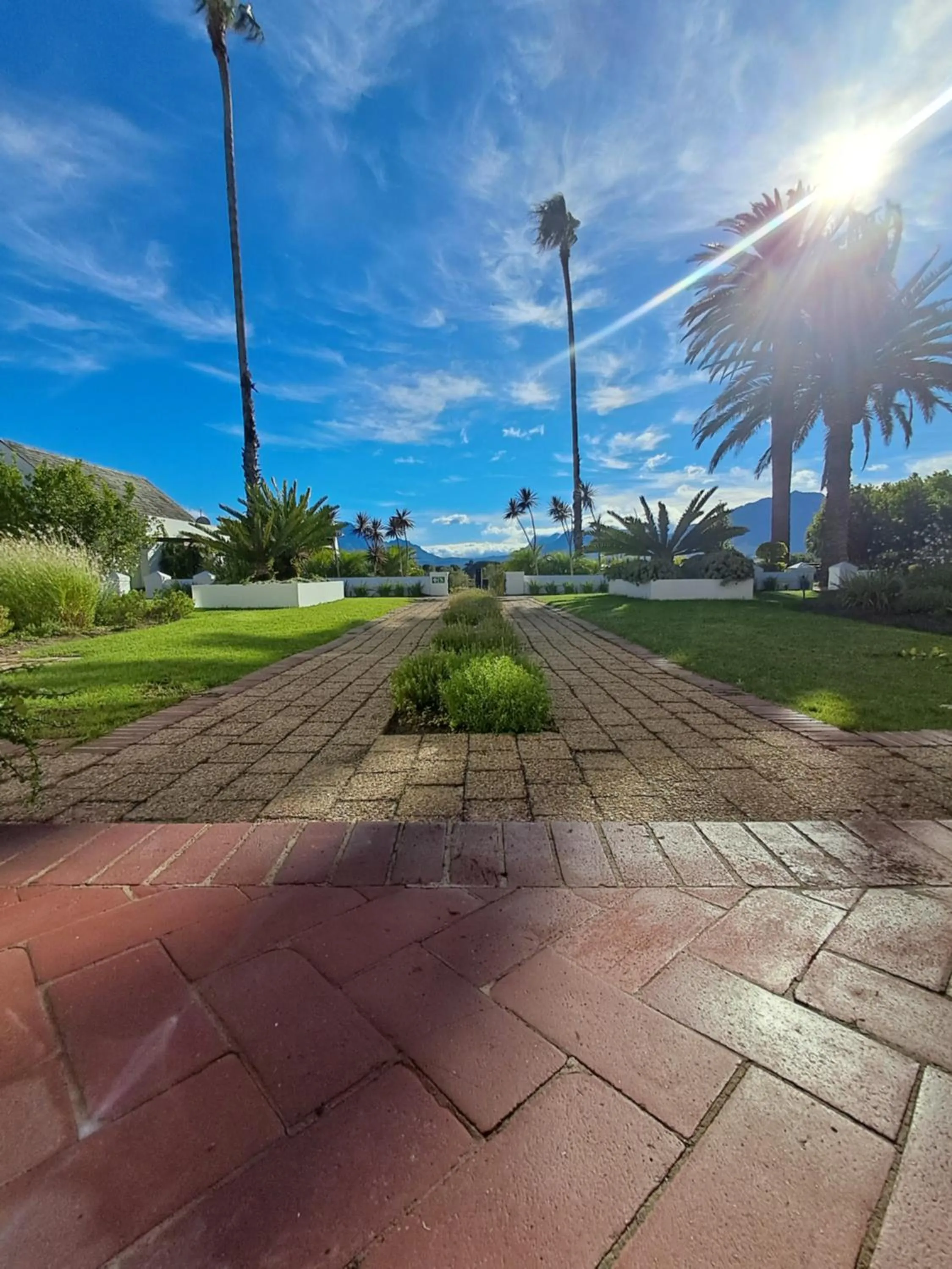 Garden in Wild Mushroom Country House